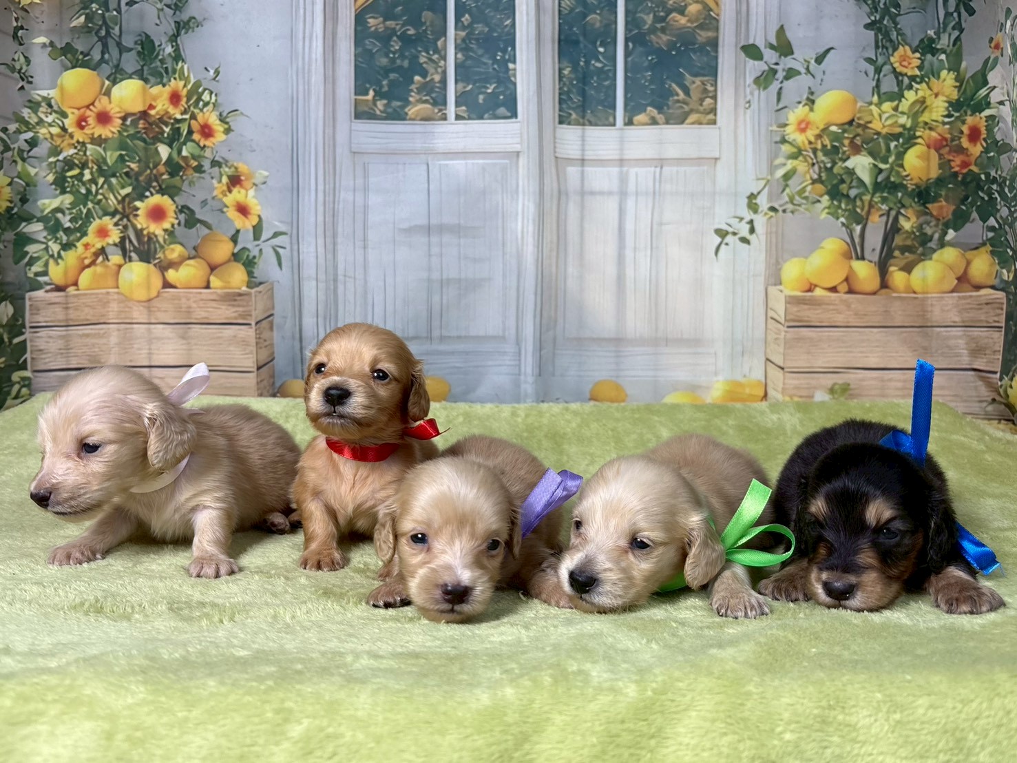 赤ちゃん写真2-3