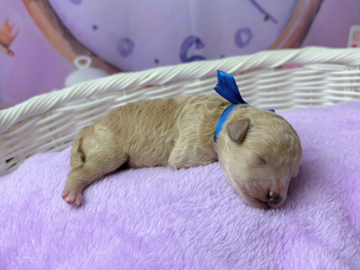 赤ちゃん写真1-2