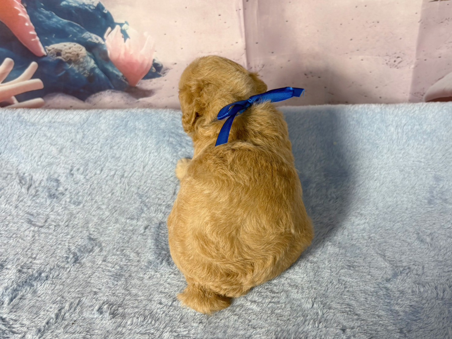 赤ちゃん写真2-3