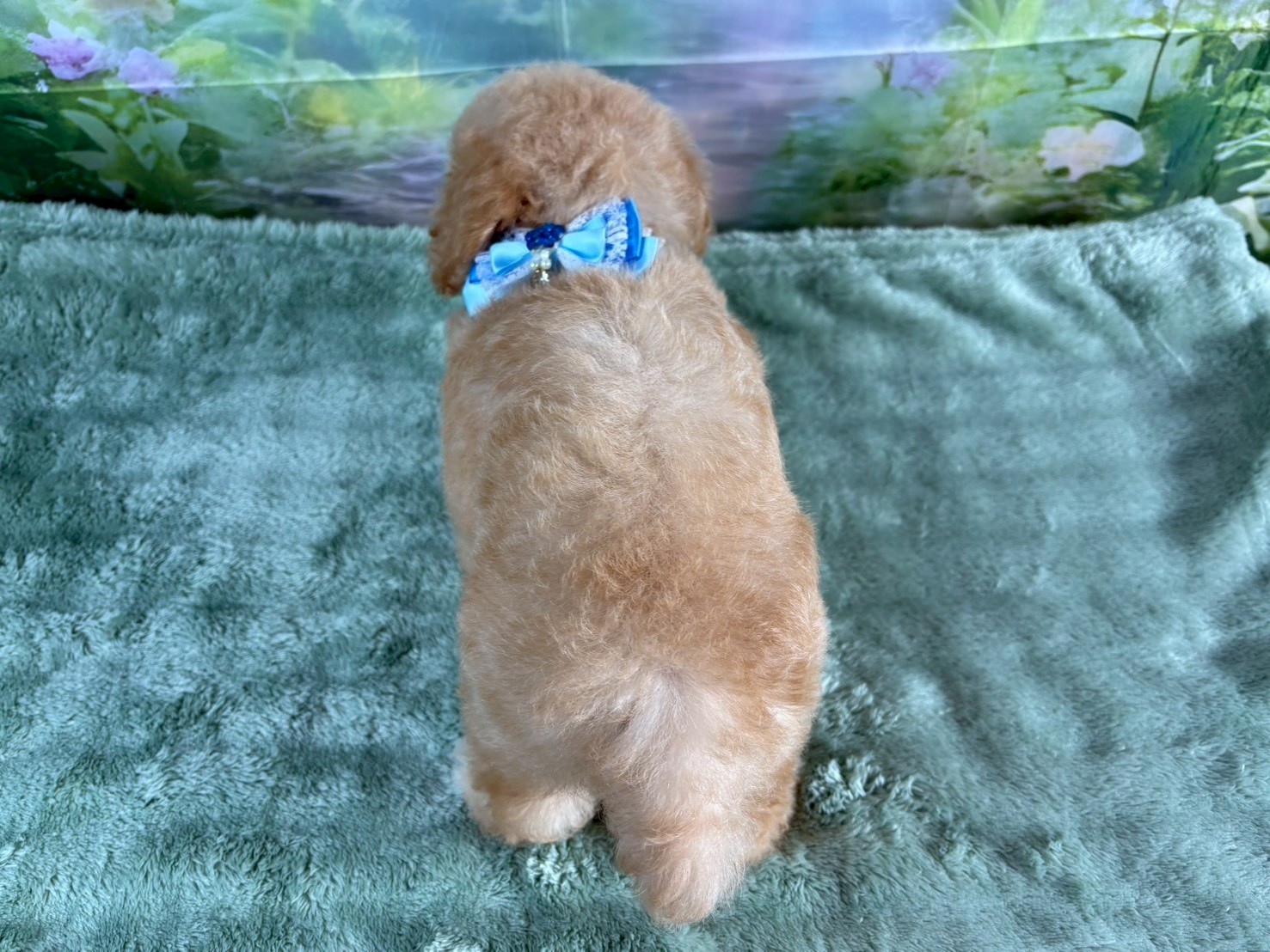 赤ちゃん写真3-3