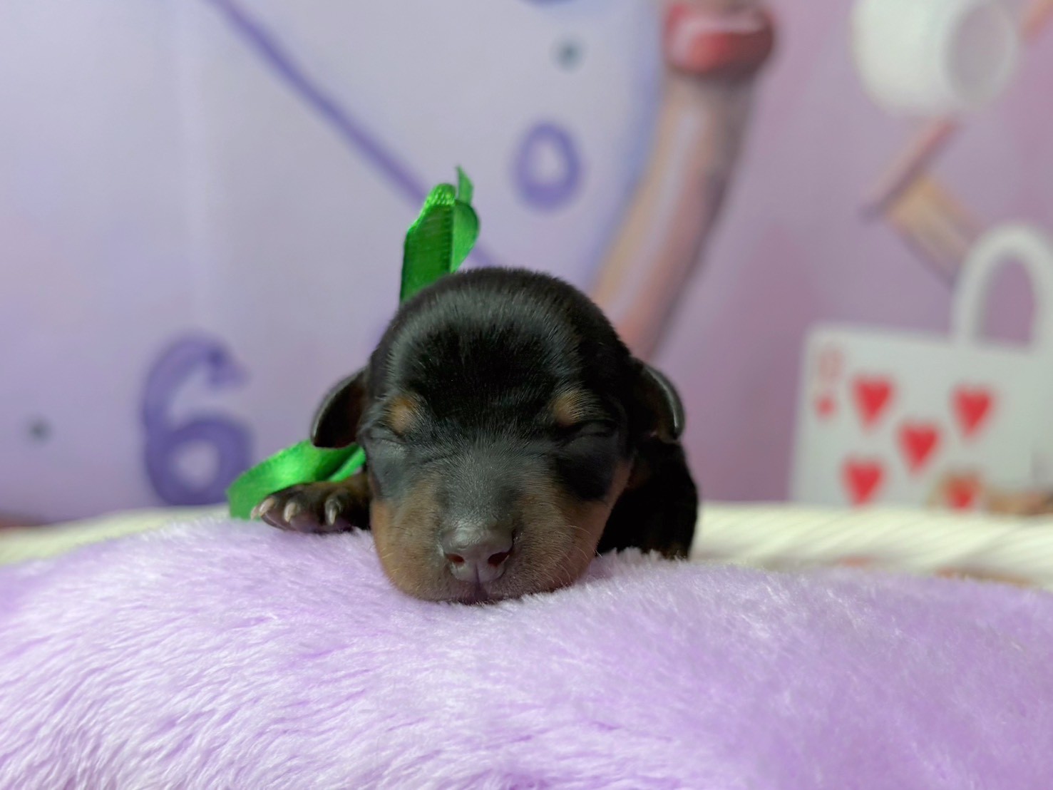 赤ちゃん写真1-1