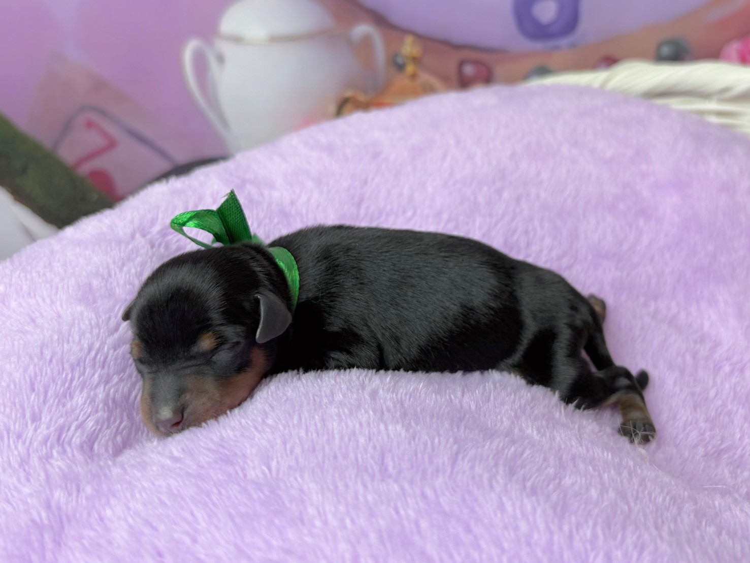 赤ちゃん写真1-2