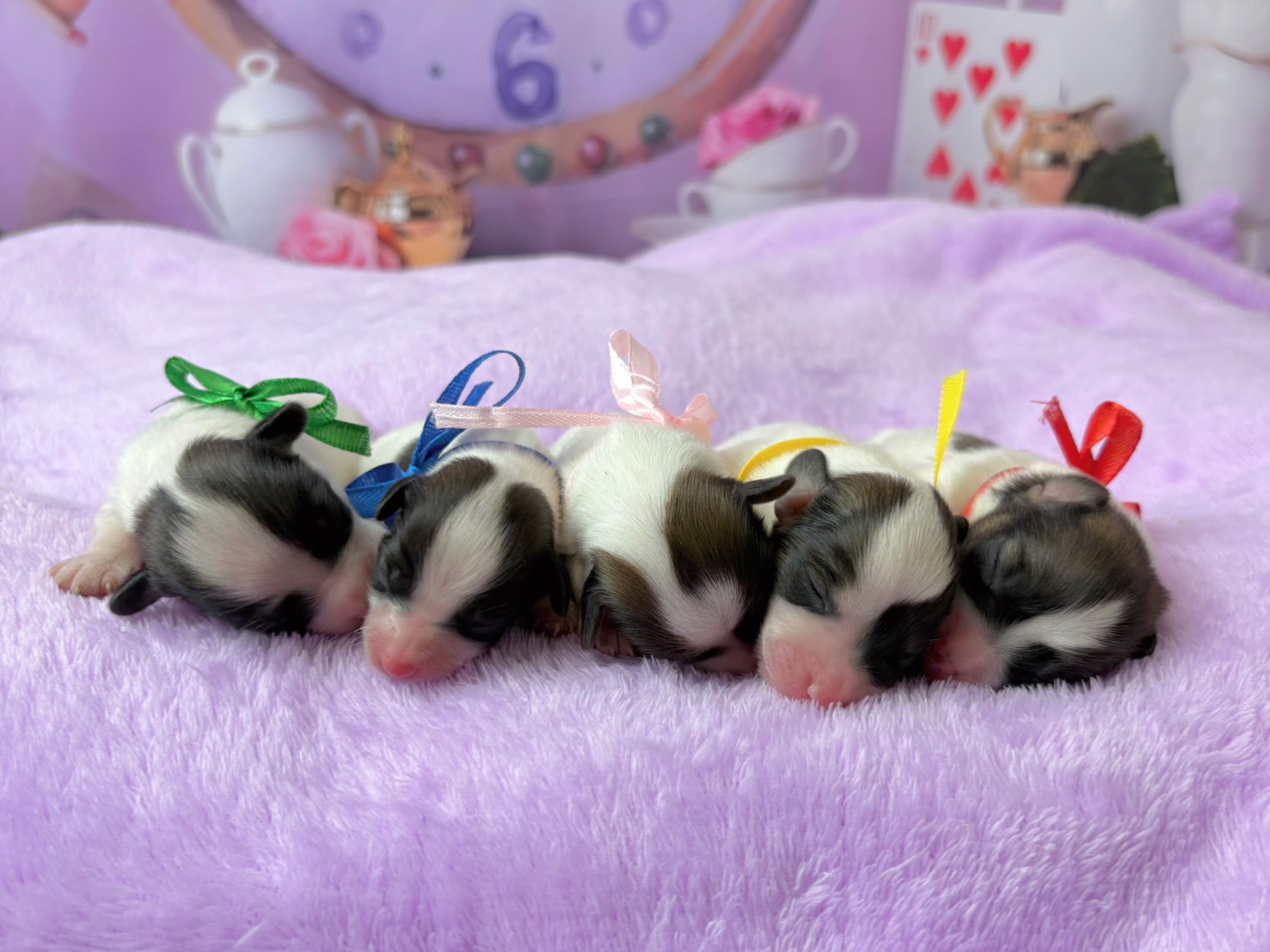 赤ちゃん写真1-3