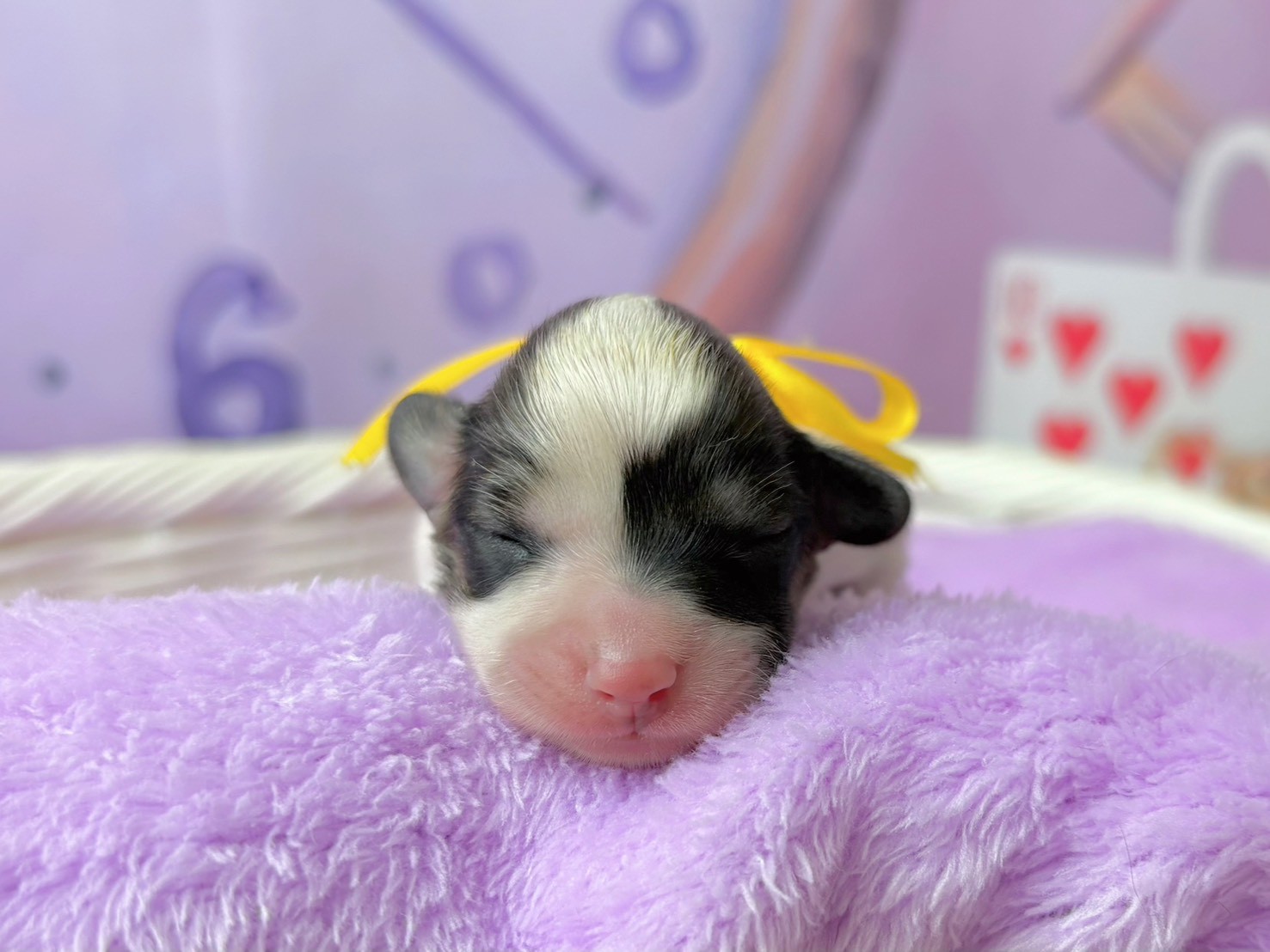 赤ちゃん写真1-1