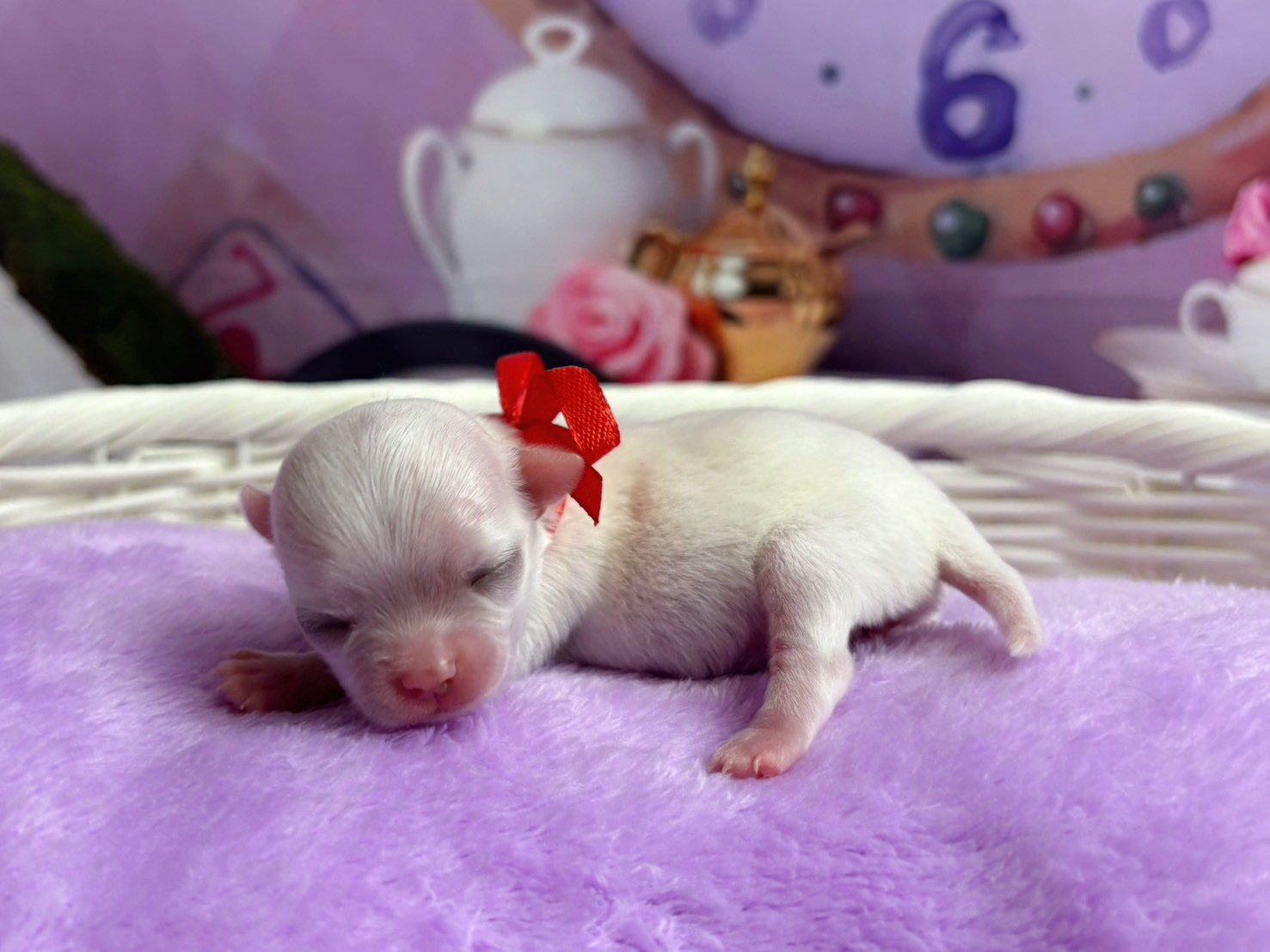 赤ちゃん写真1-2