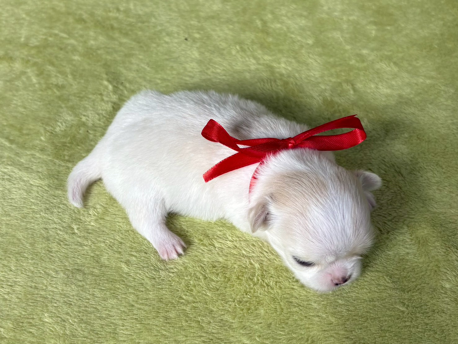赤ちゃん写真2-3