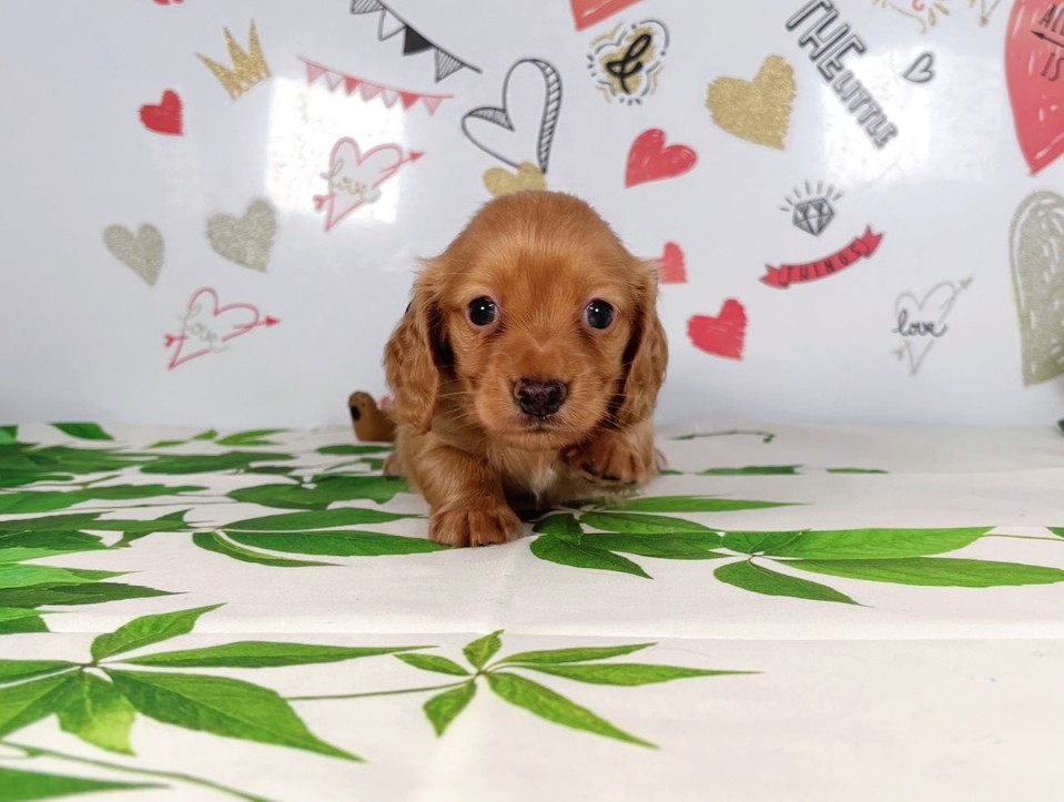 赤ちゃん写真2-1