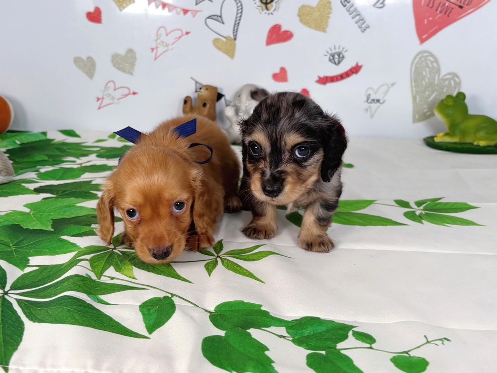 赤ちゃん写真2-3