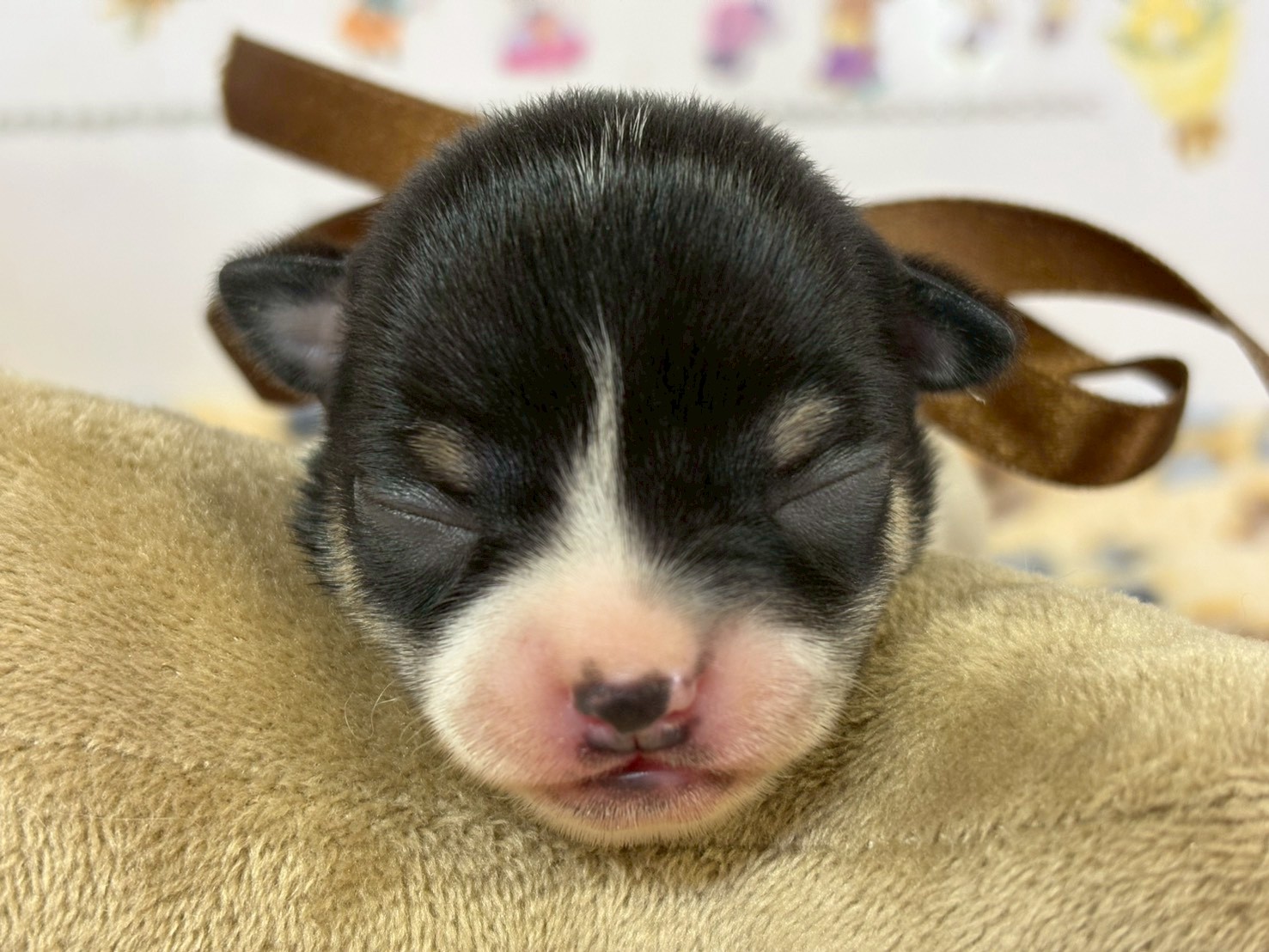 赤ちゃん写真1-1