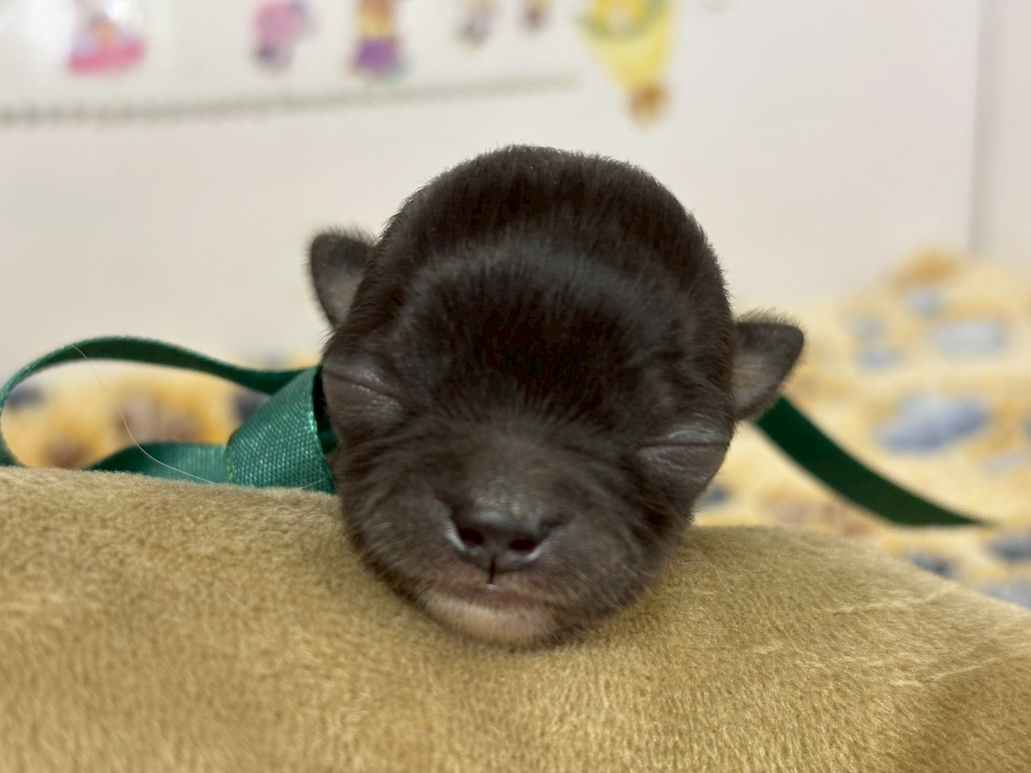 赤ちゃん写真1-1