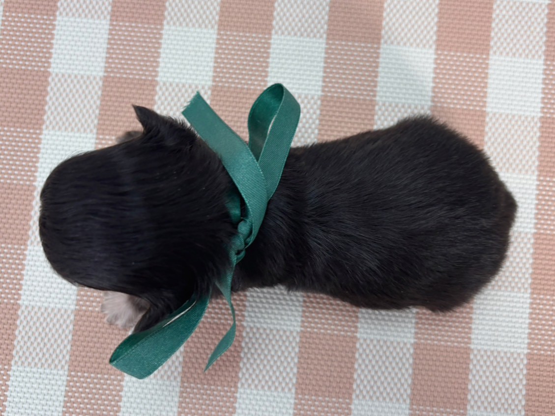 赤ちゃん写真2-3