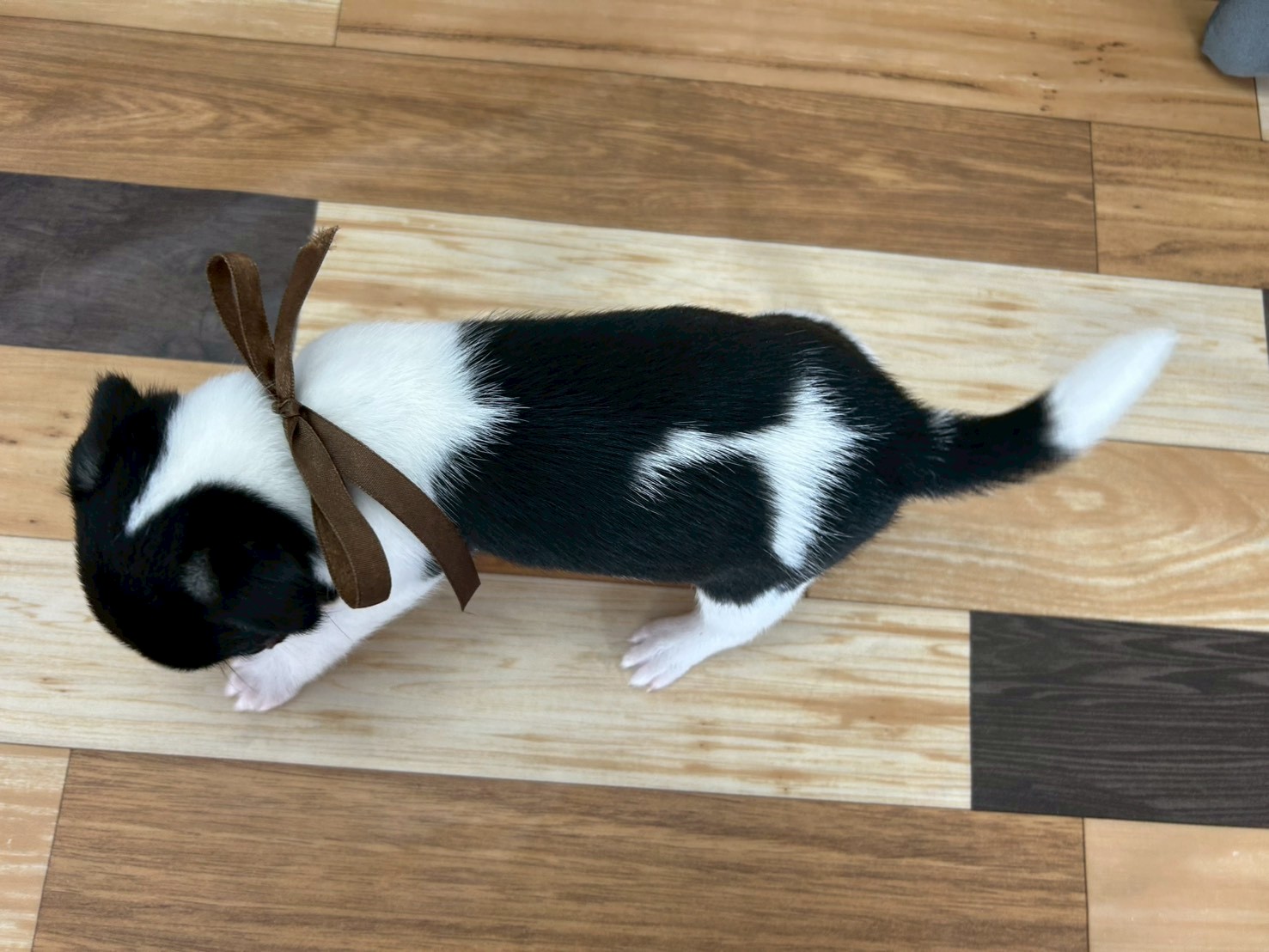 赤ちゃん写真3-3