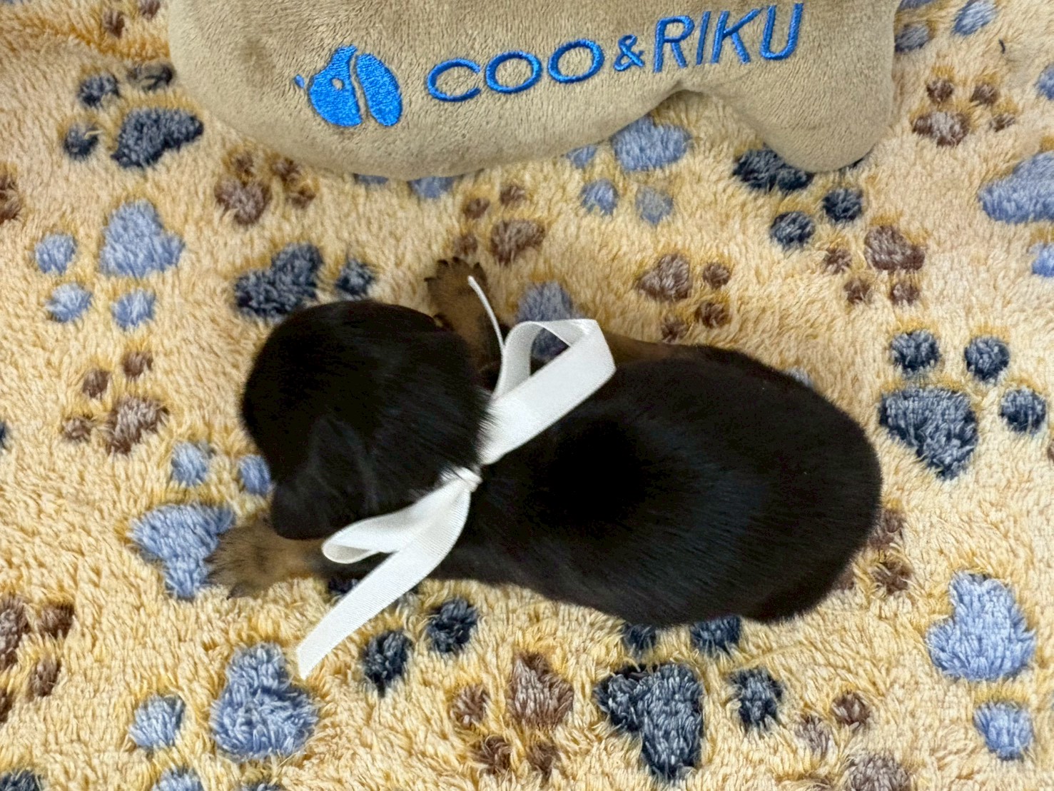 赤ちゃん写真1-3