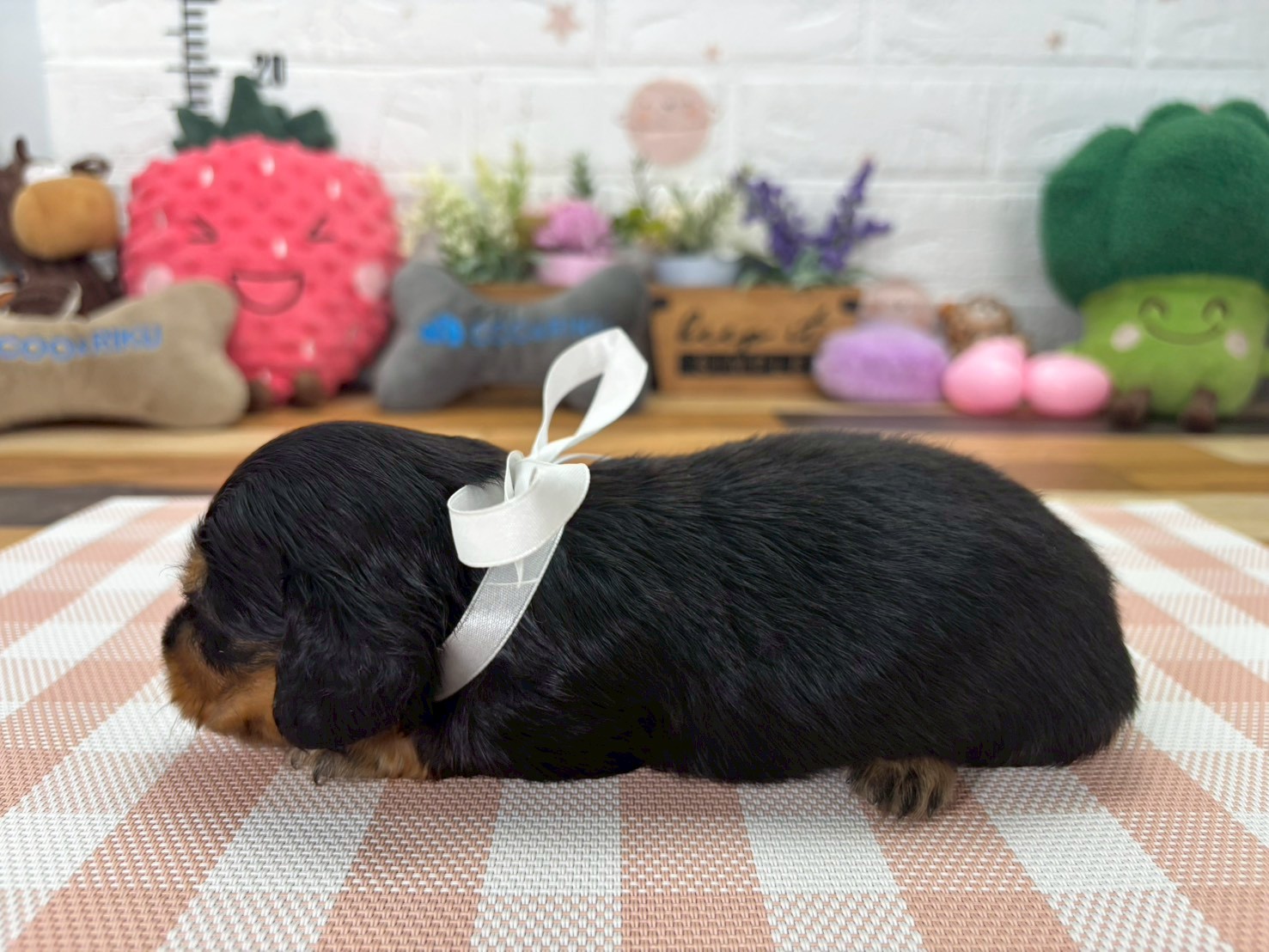 赤ちゃん写真2-2