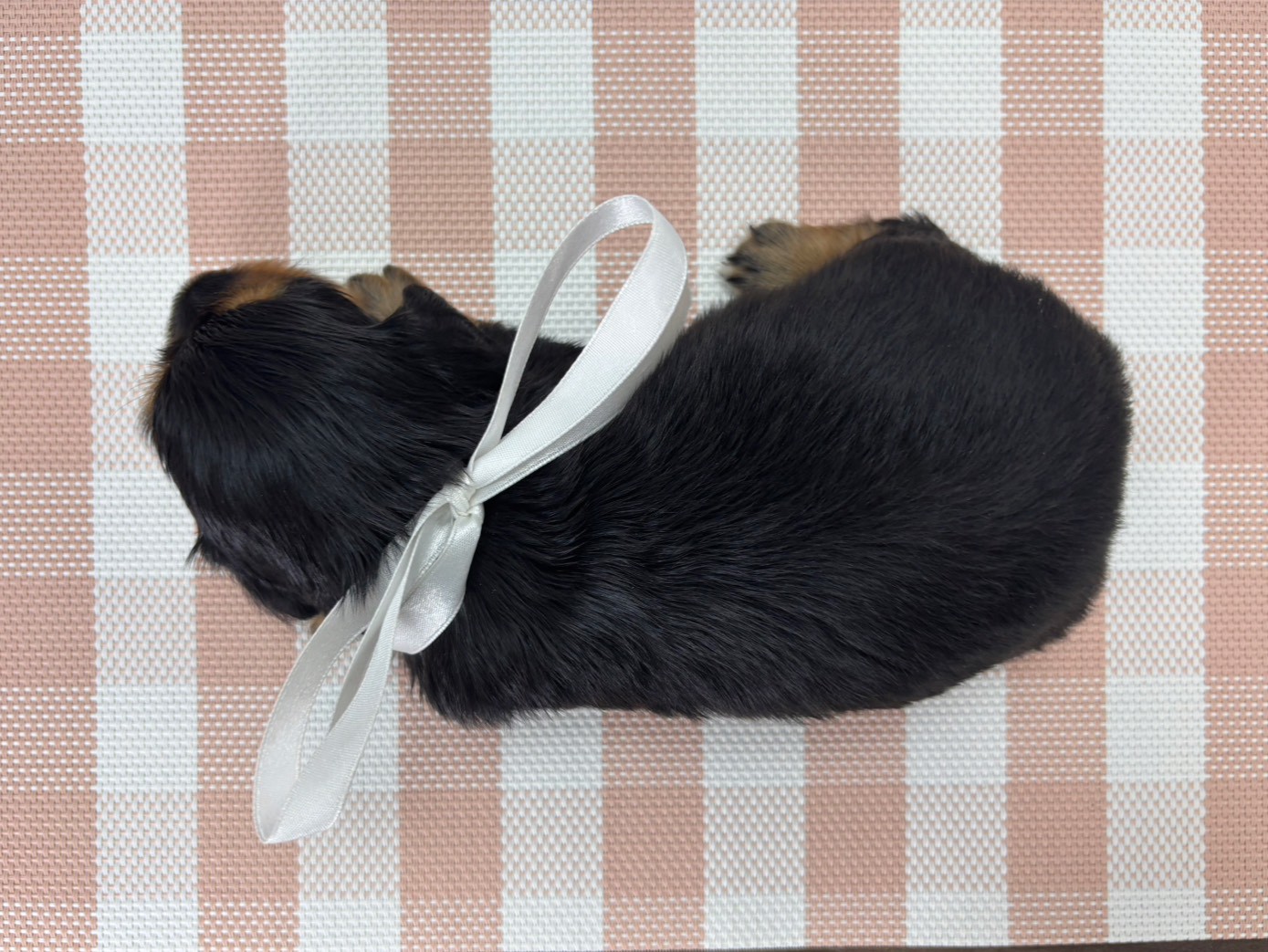 赤ちゃん写真2-3