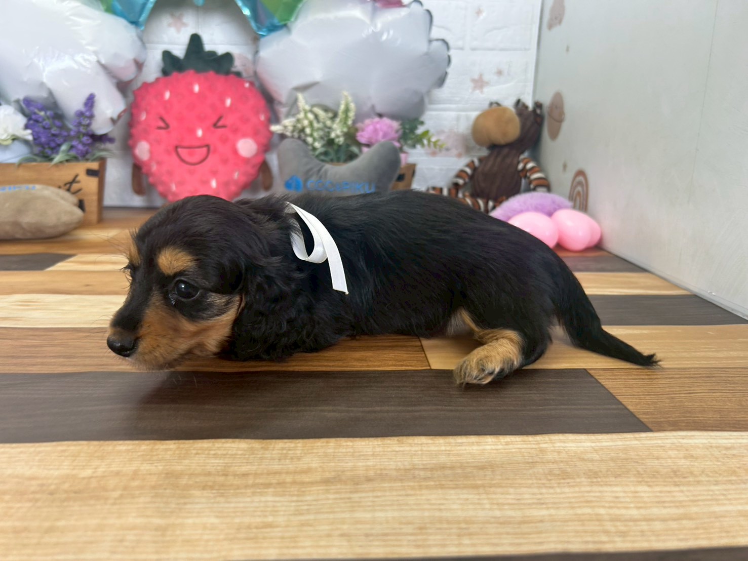 赤ちゃん写真3-2