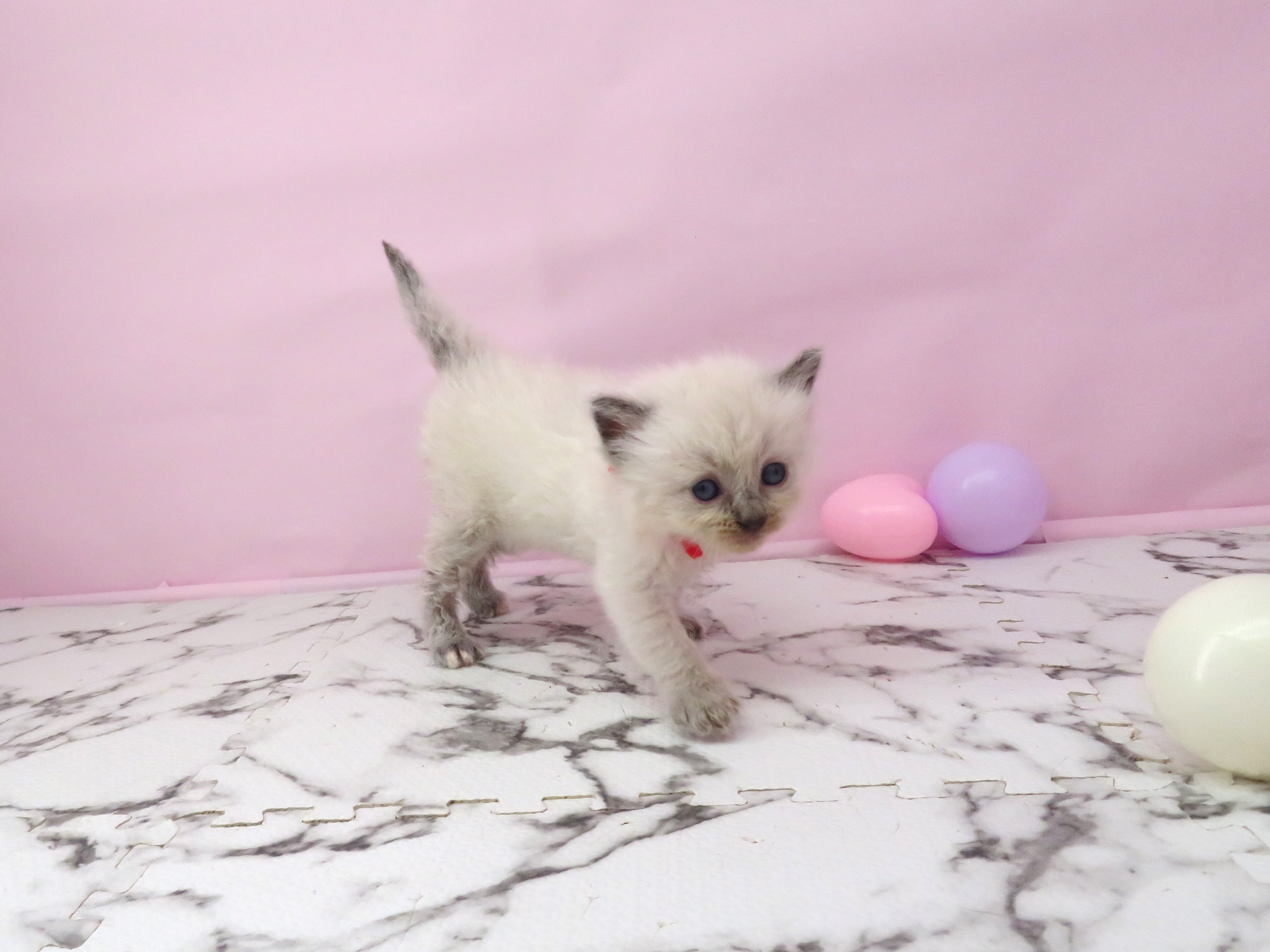 赤ちゃん写真2-2