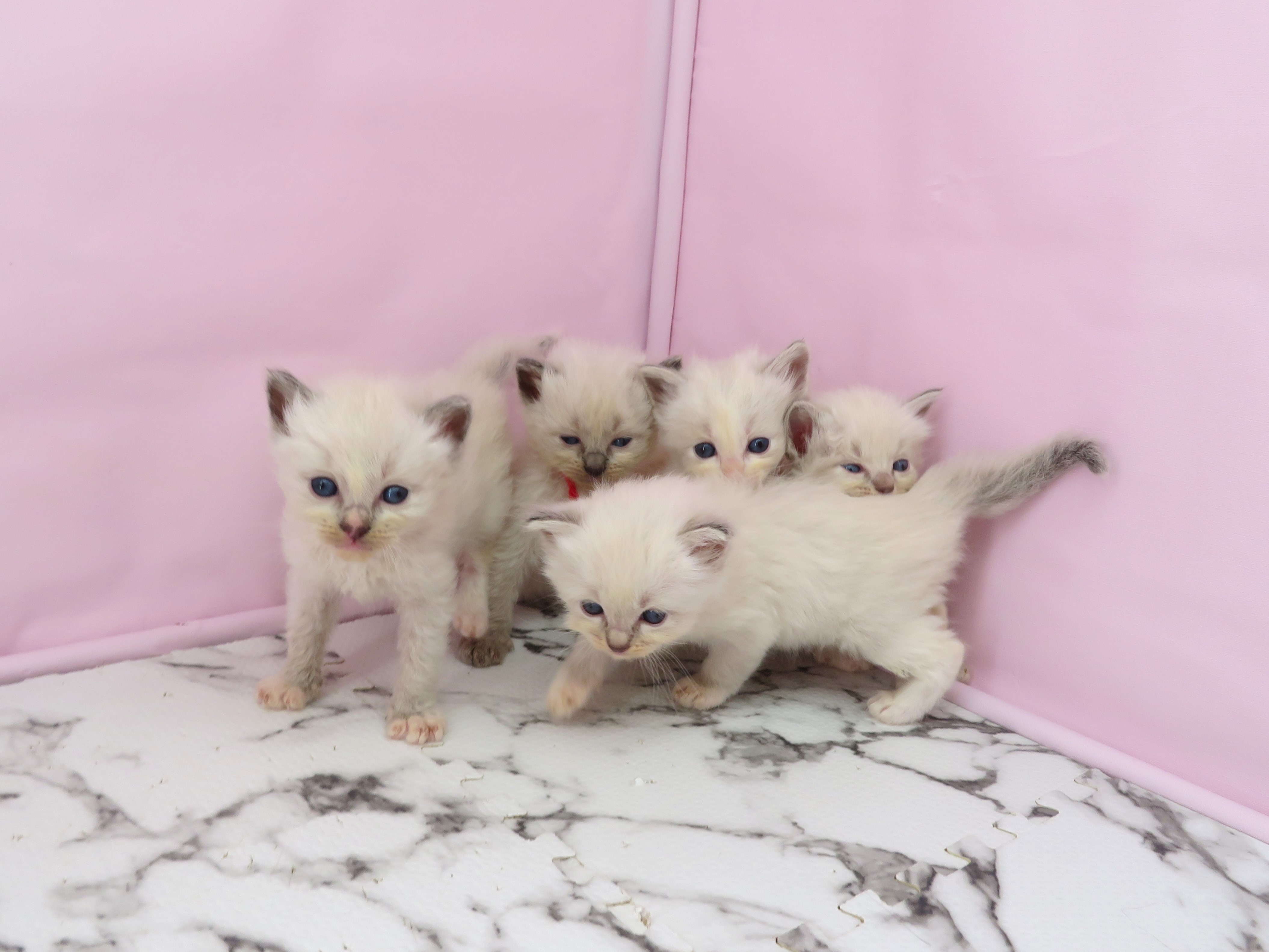 赤ちゃん写真2-3