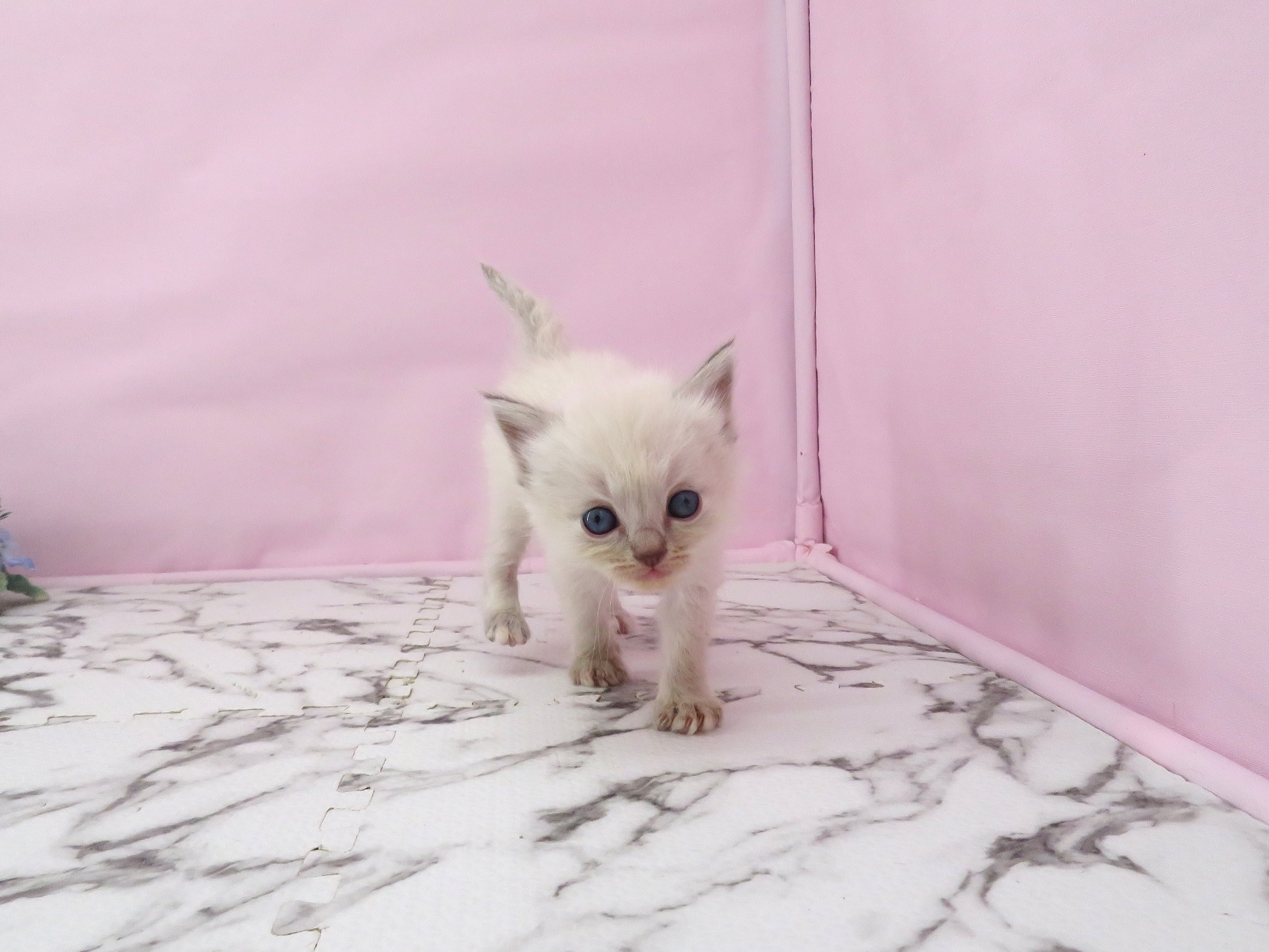 赤ちゃん写真2-1