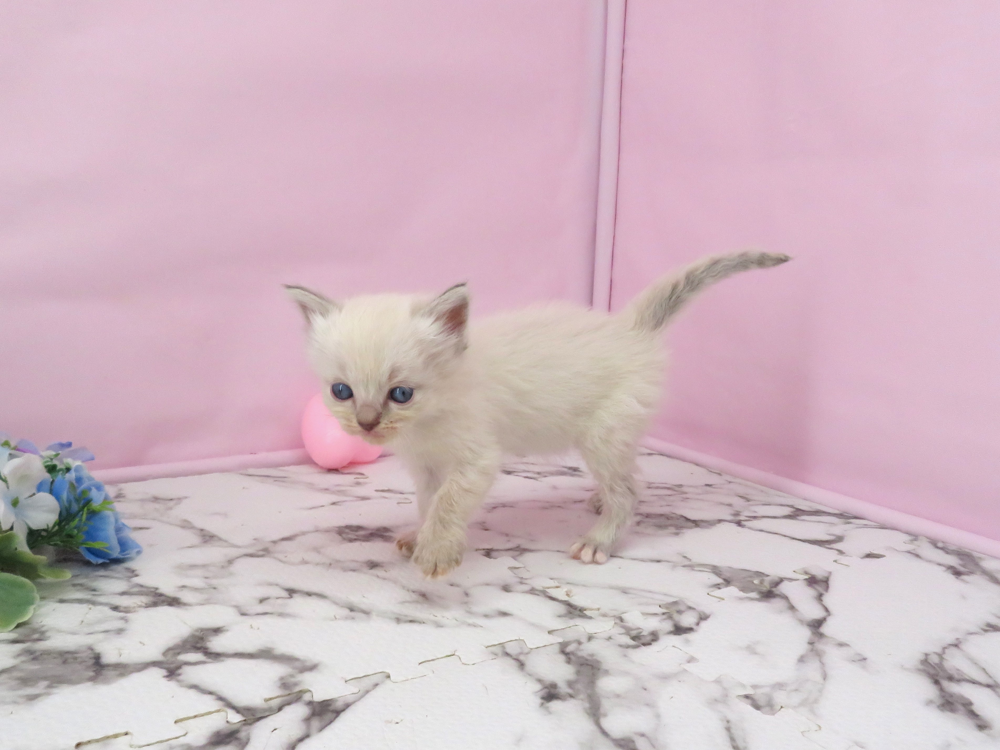赤ちゃん写真2-2