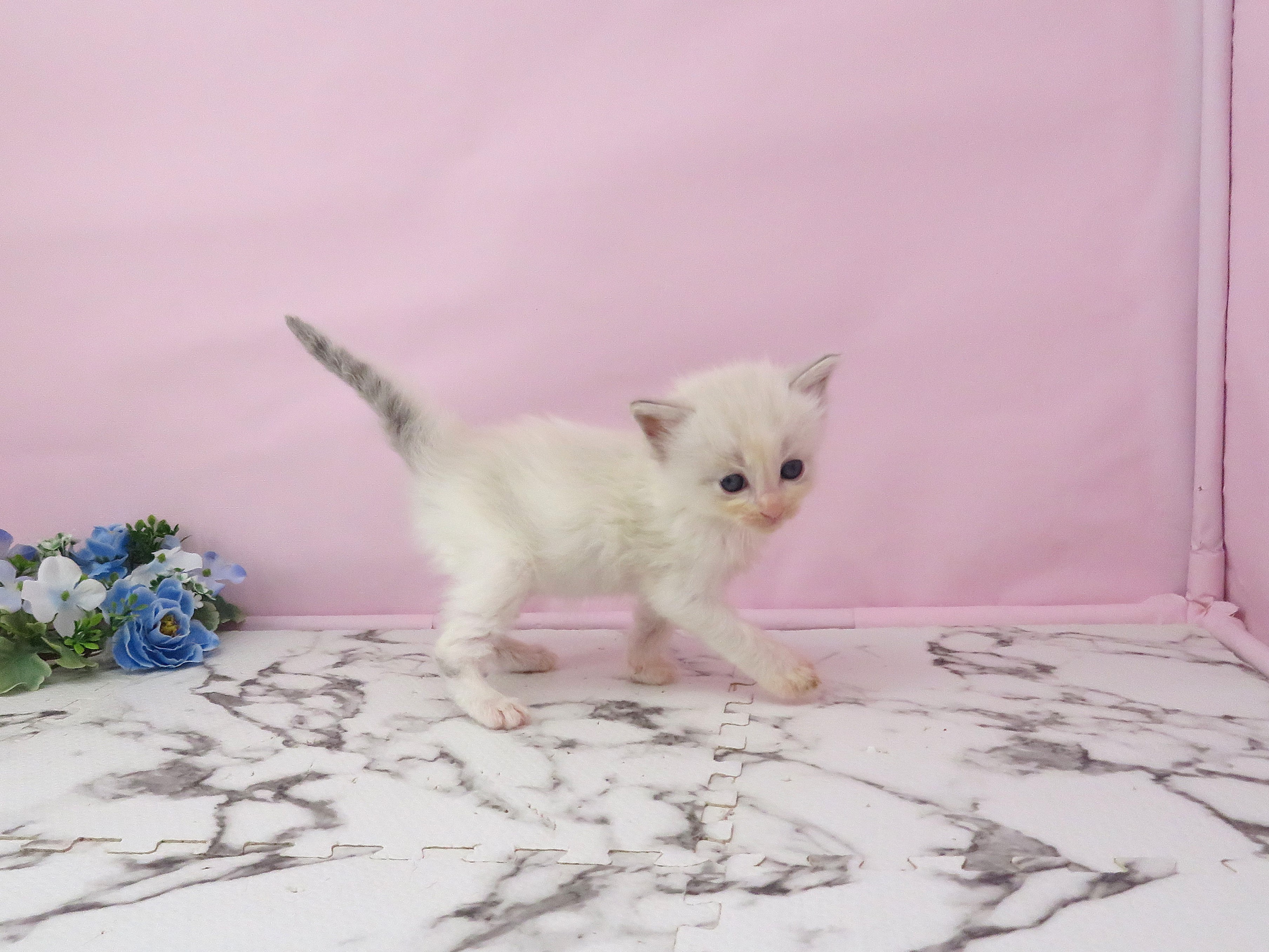 赤ちゃん写真2-2