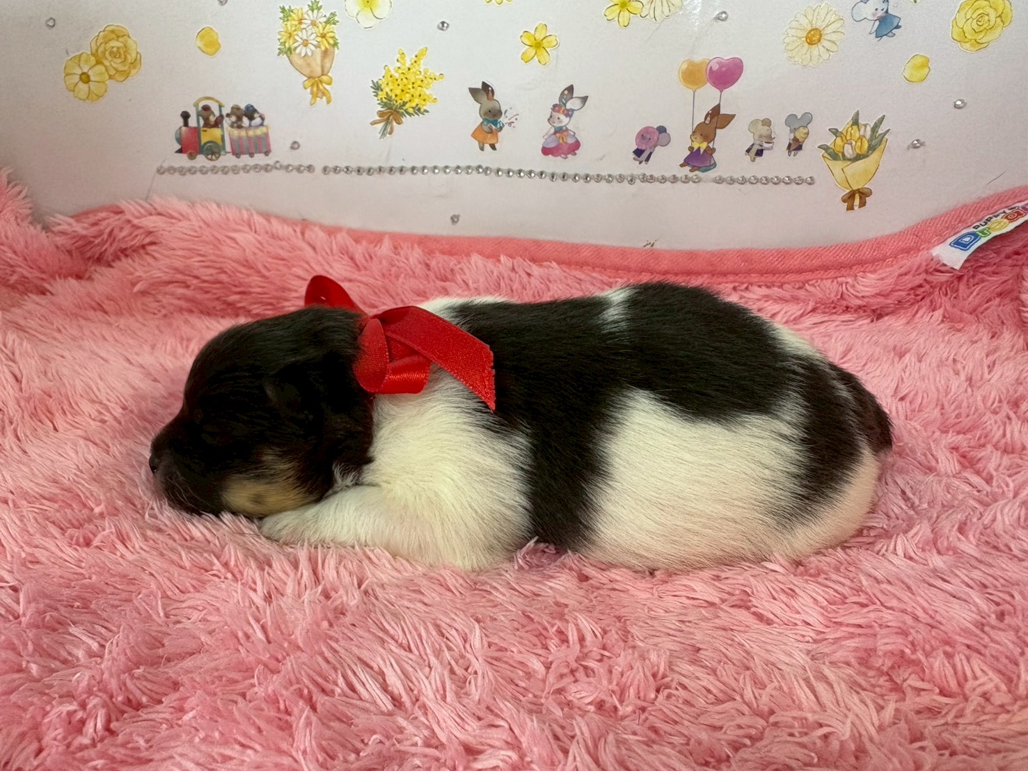 赤ちゃん写真1-2