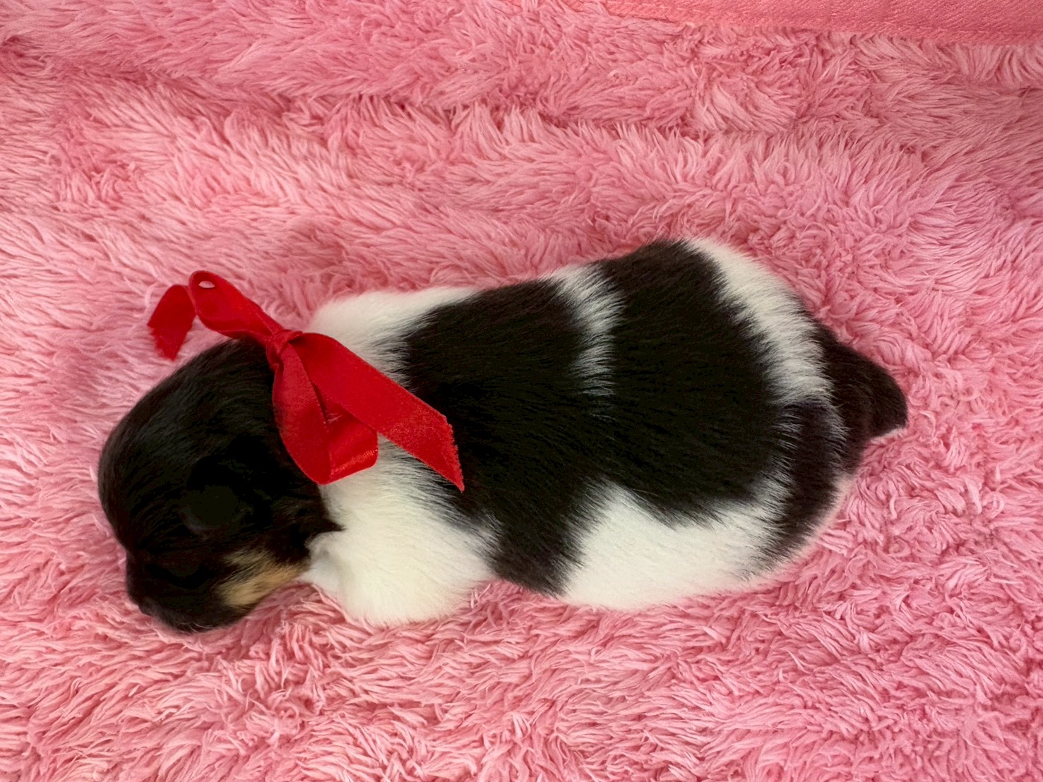 赤ちゃん写真1-3
