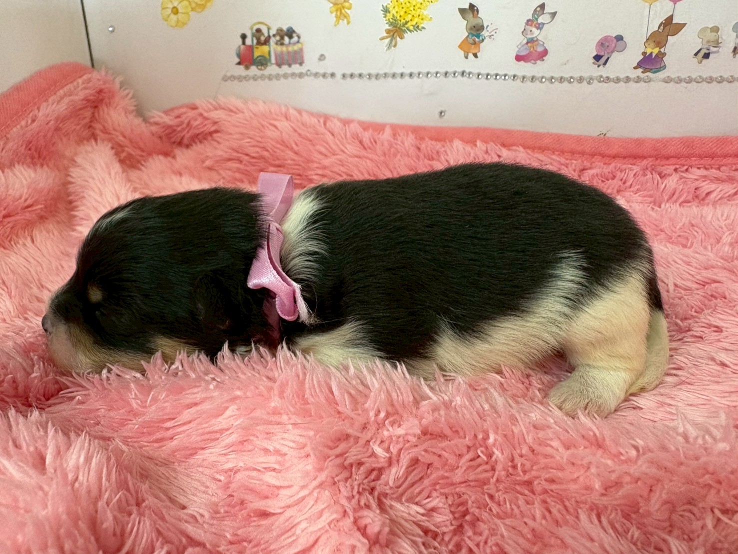 赤ちゃん写真1-2