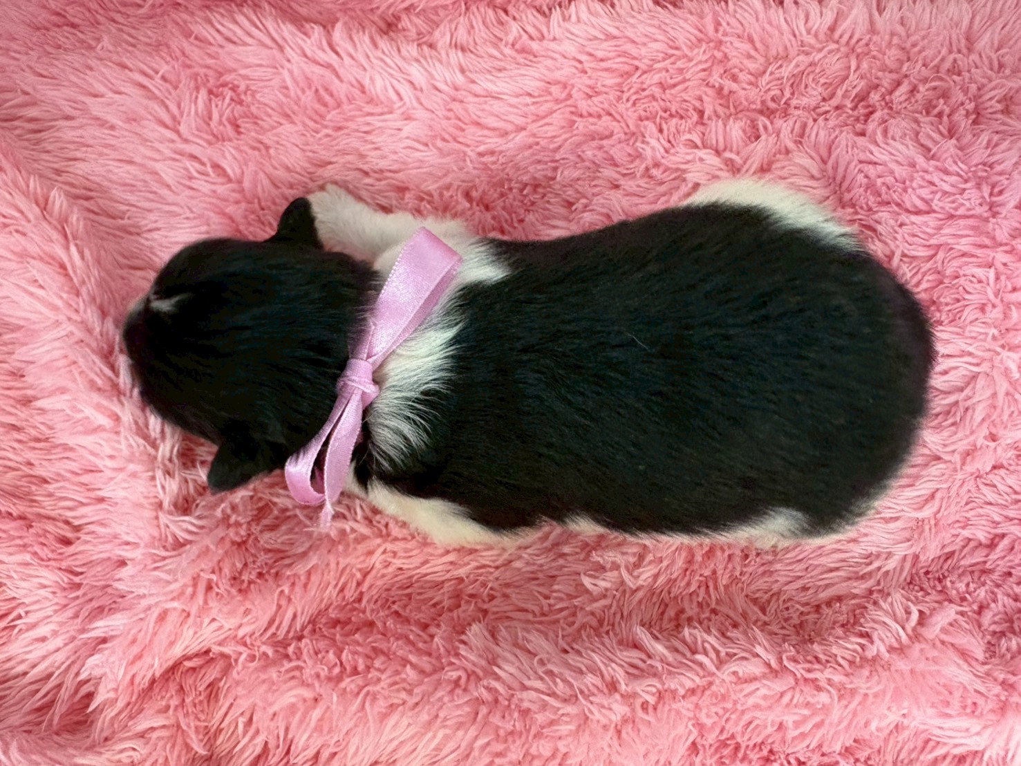 赤ちゃん写真1-3
