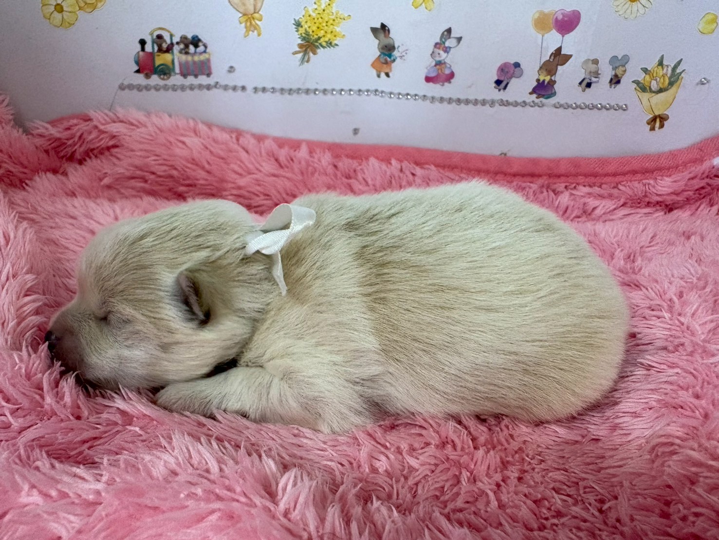 赤ちゃん写真1-2