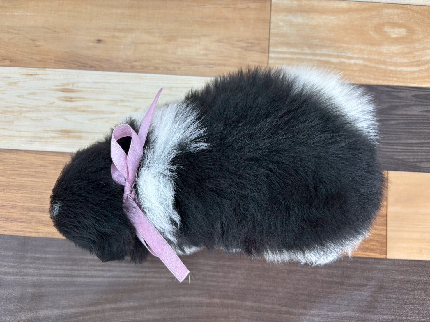 赤ちゃん写真2-3