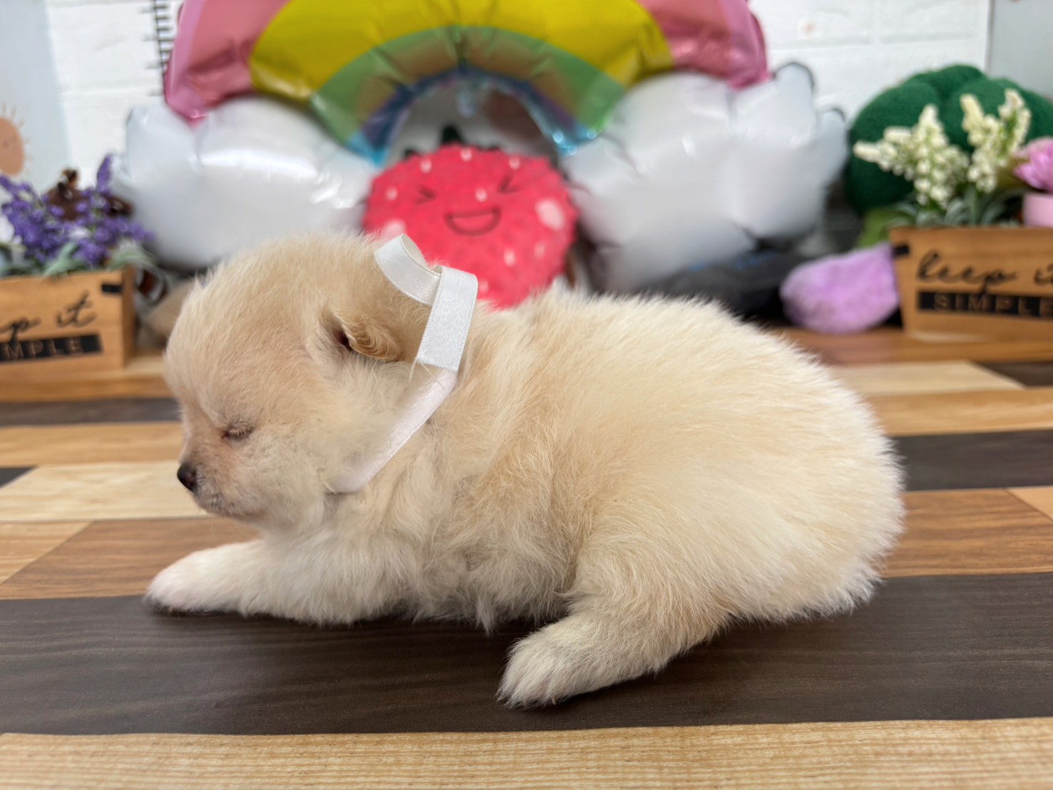 赤ちゃん写真2-2