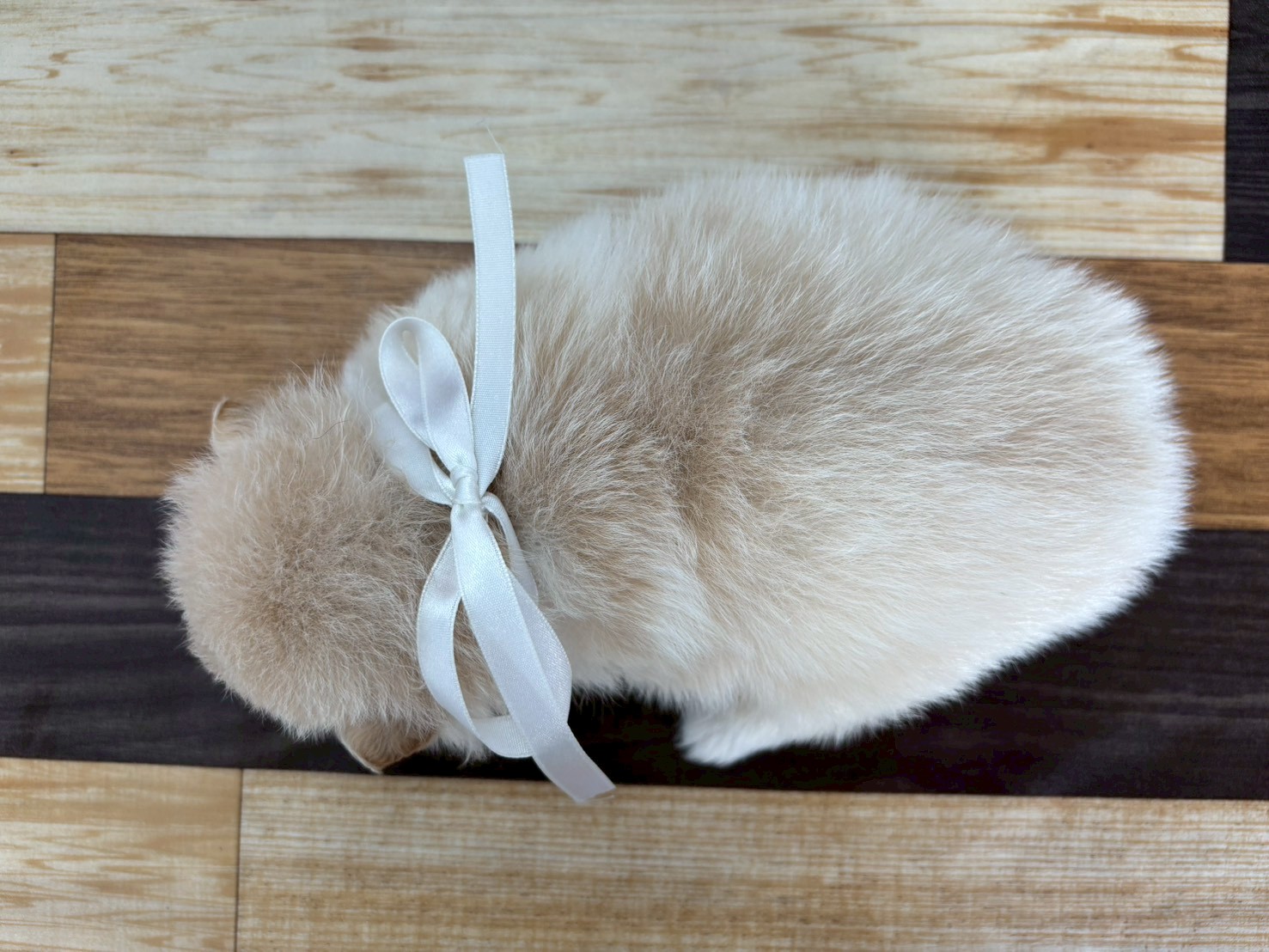 赤ちゃん写真2-3