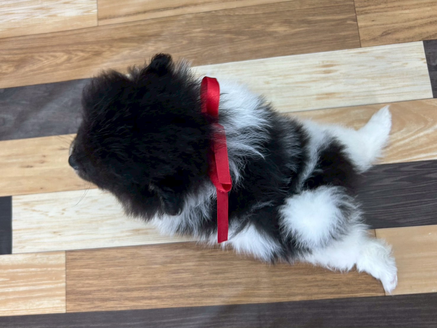 赤ちゃん写真3-3