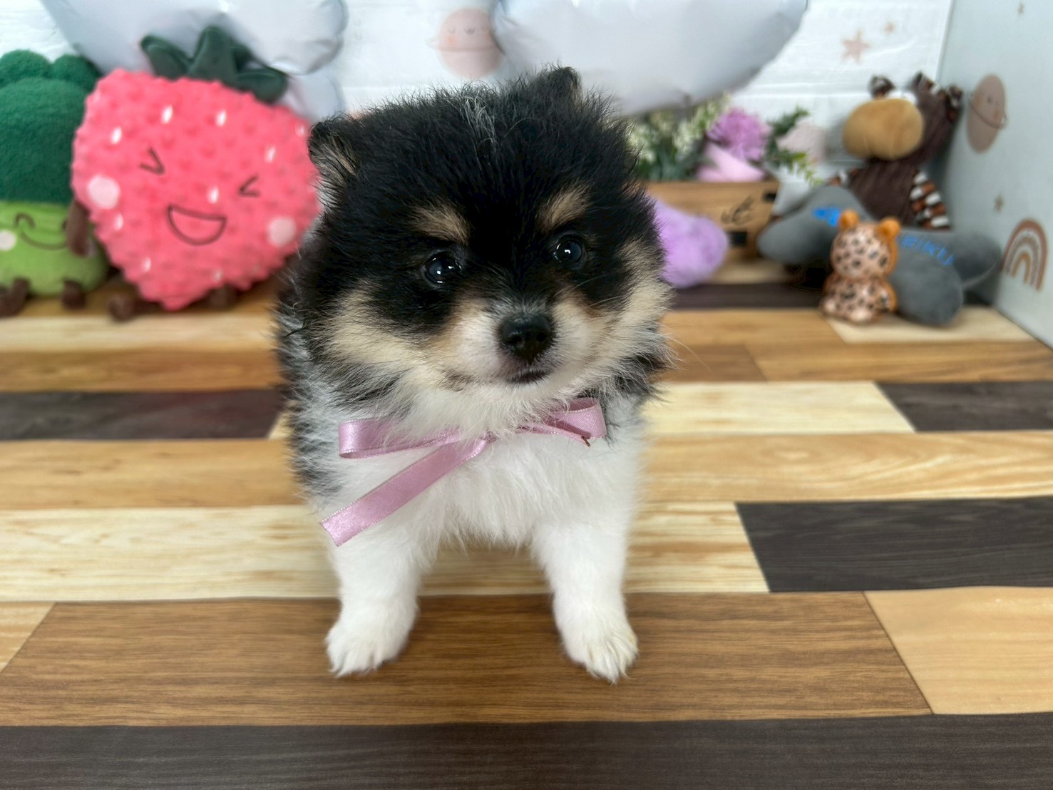 赤ちゃん写真3-1