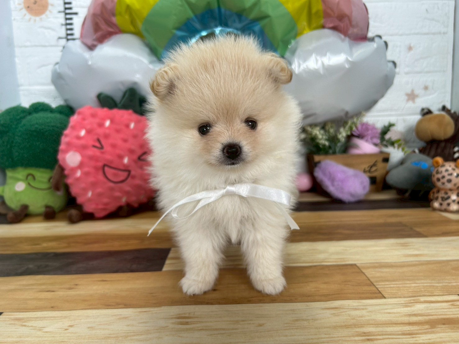 赤ちゃん写真3-1