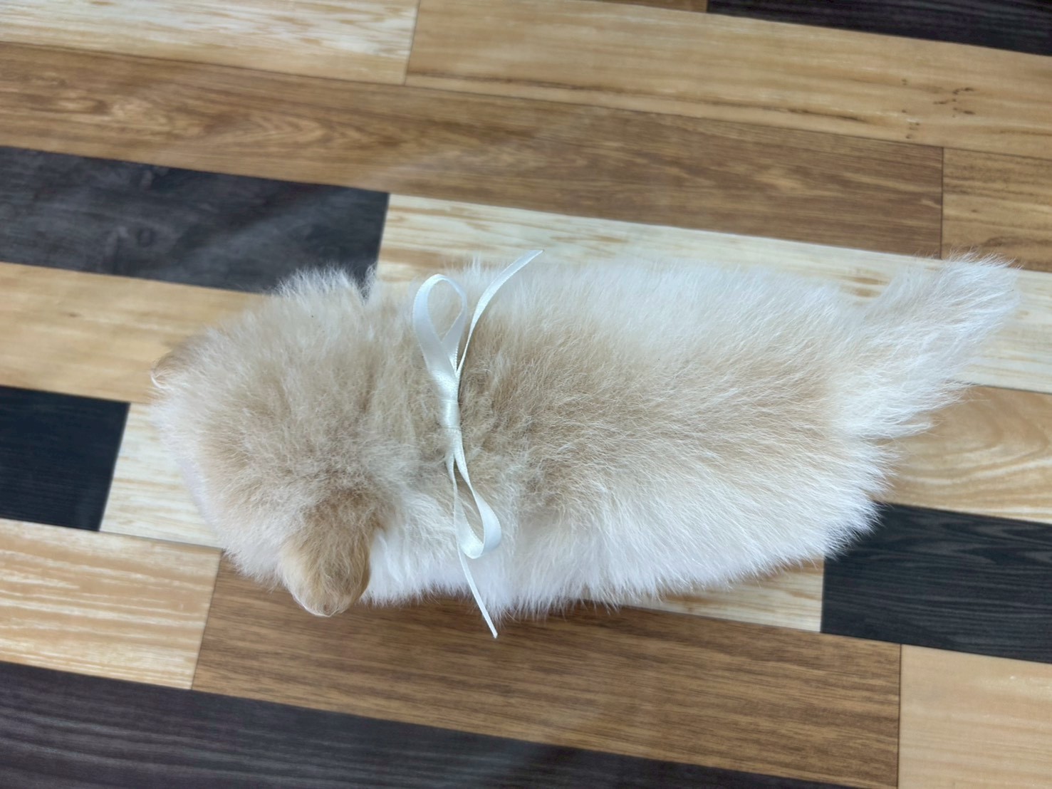 赤ちゃん写真3-3