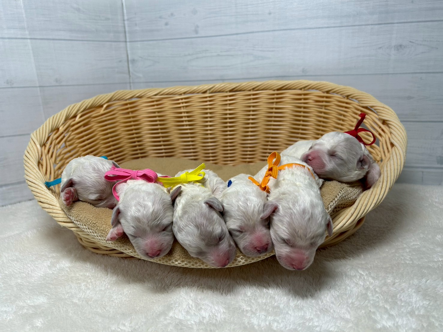 赤ちゃん写真1-3