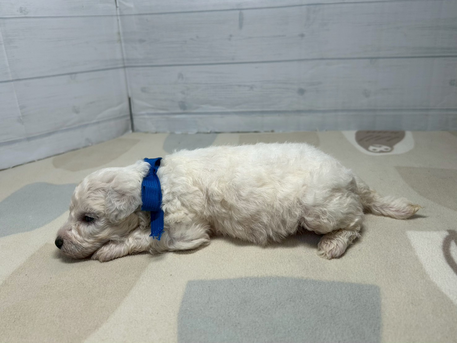赤ちゃん写真2-2