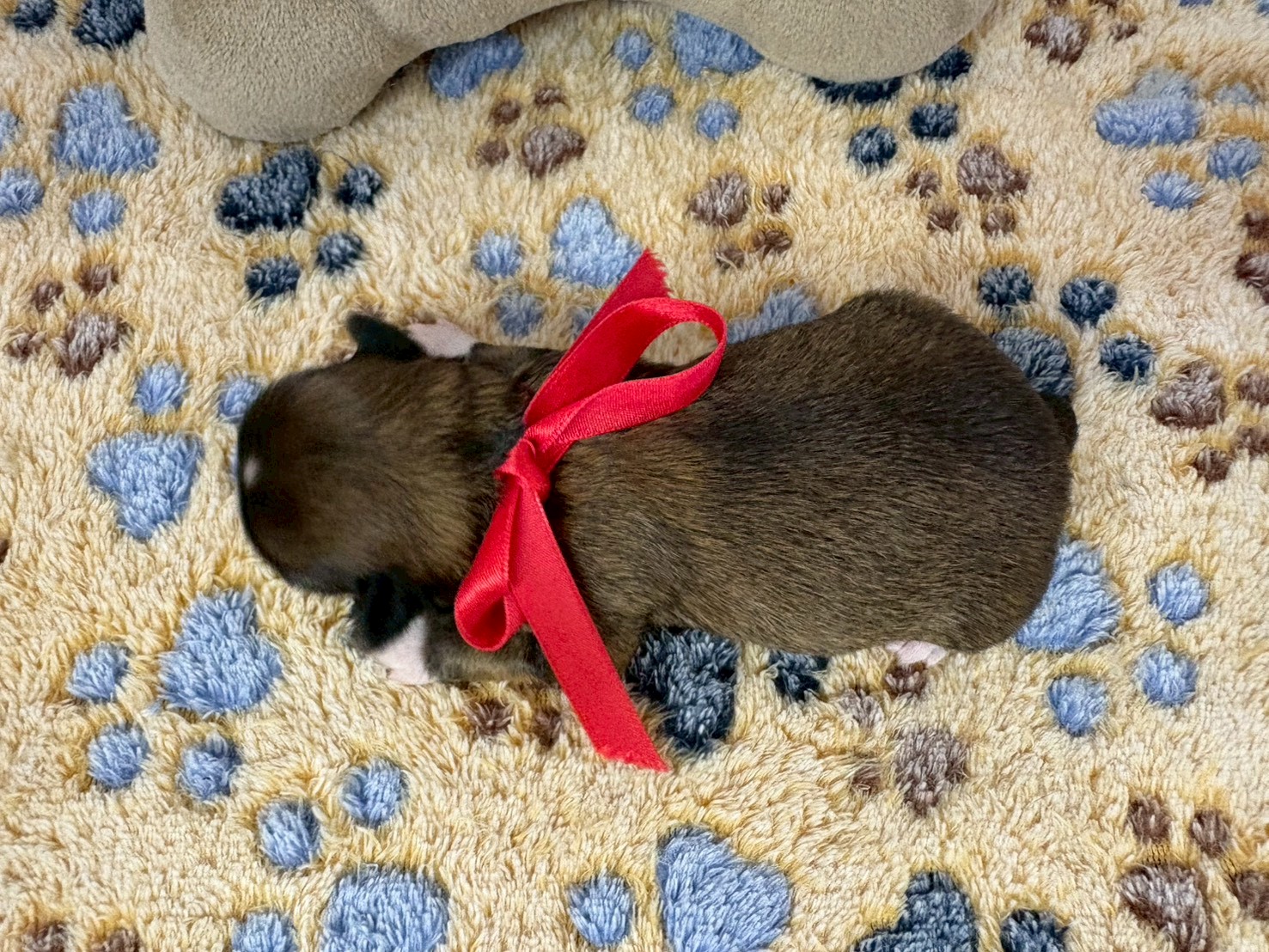 赤ちゃん写真1-3