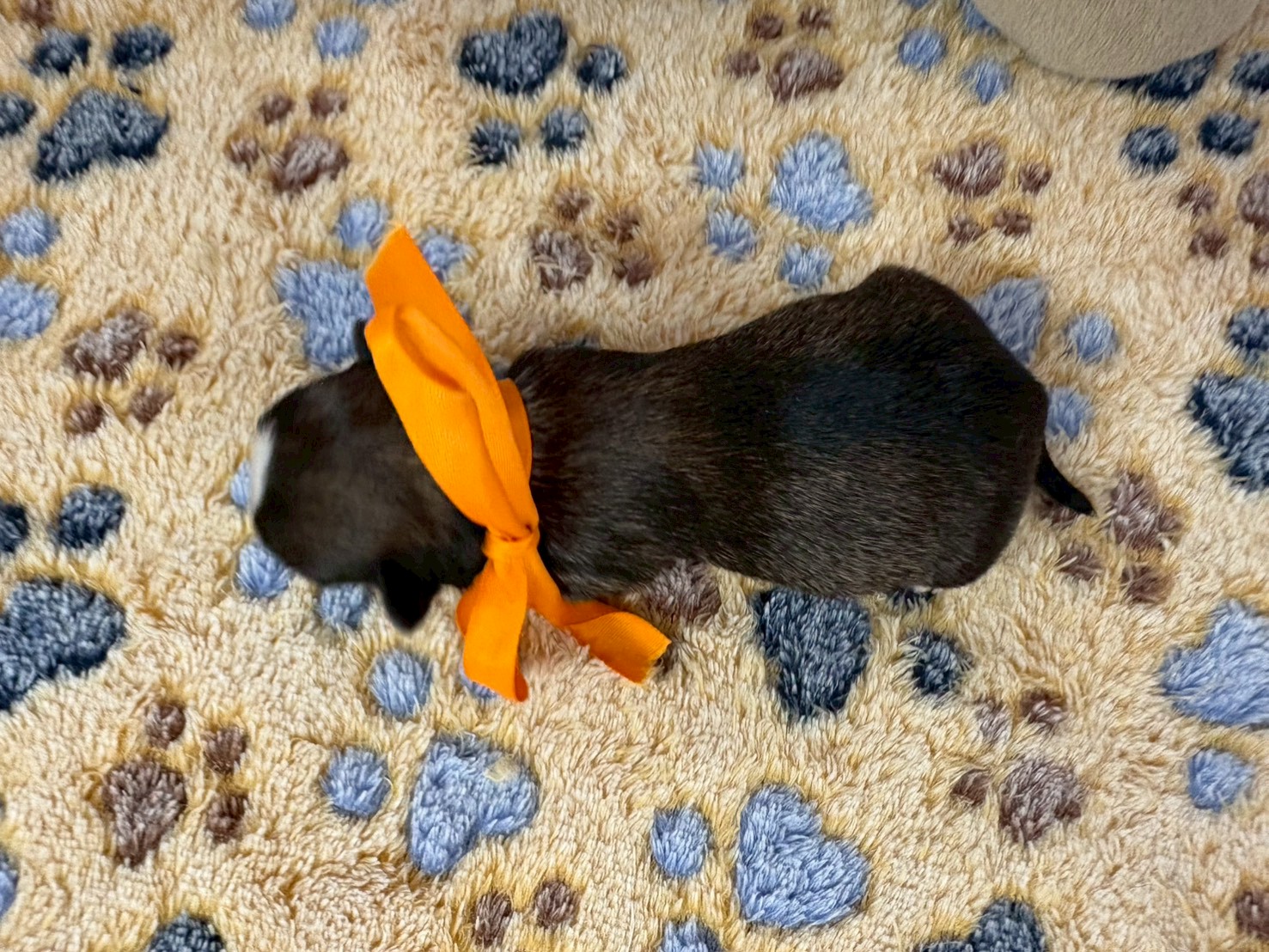 赤ちゃん写真1-3
