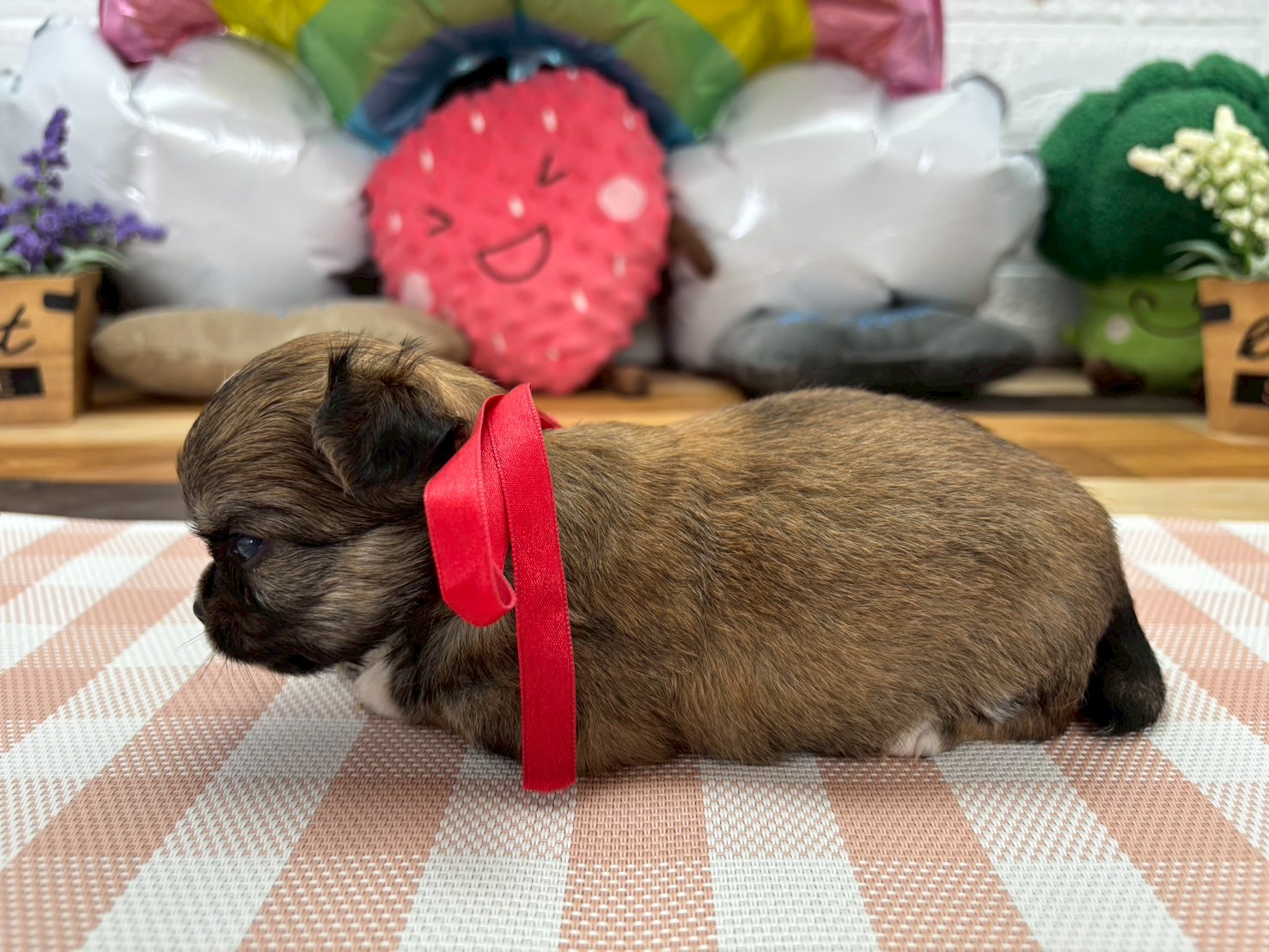 赤ちゃん写真2-2