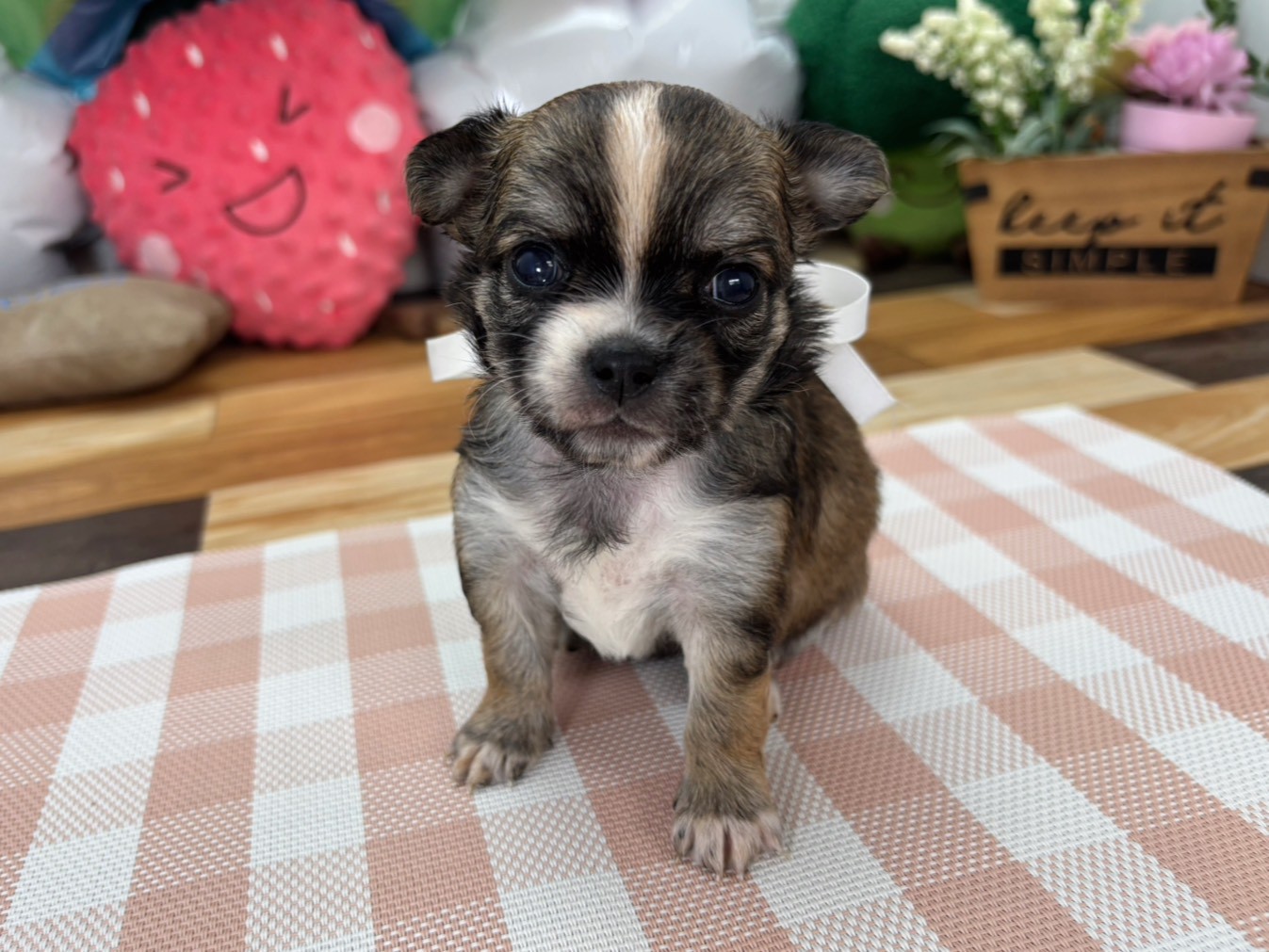 赤ちゃん写真2-1
