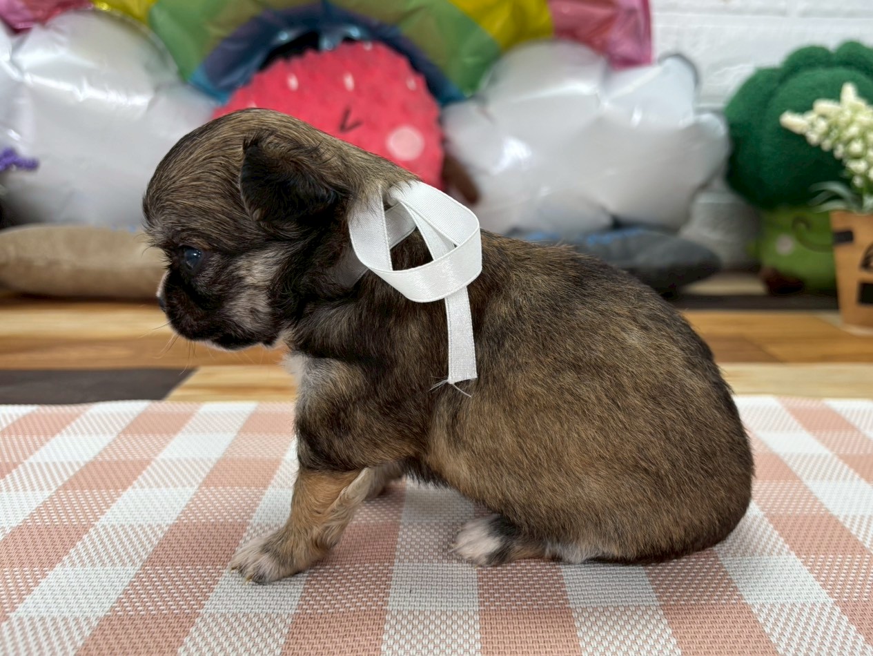 赤ちゃん写真2-2