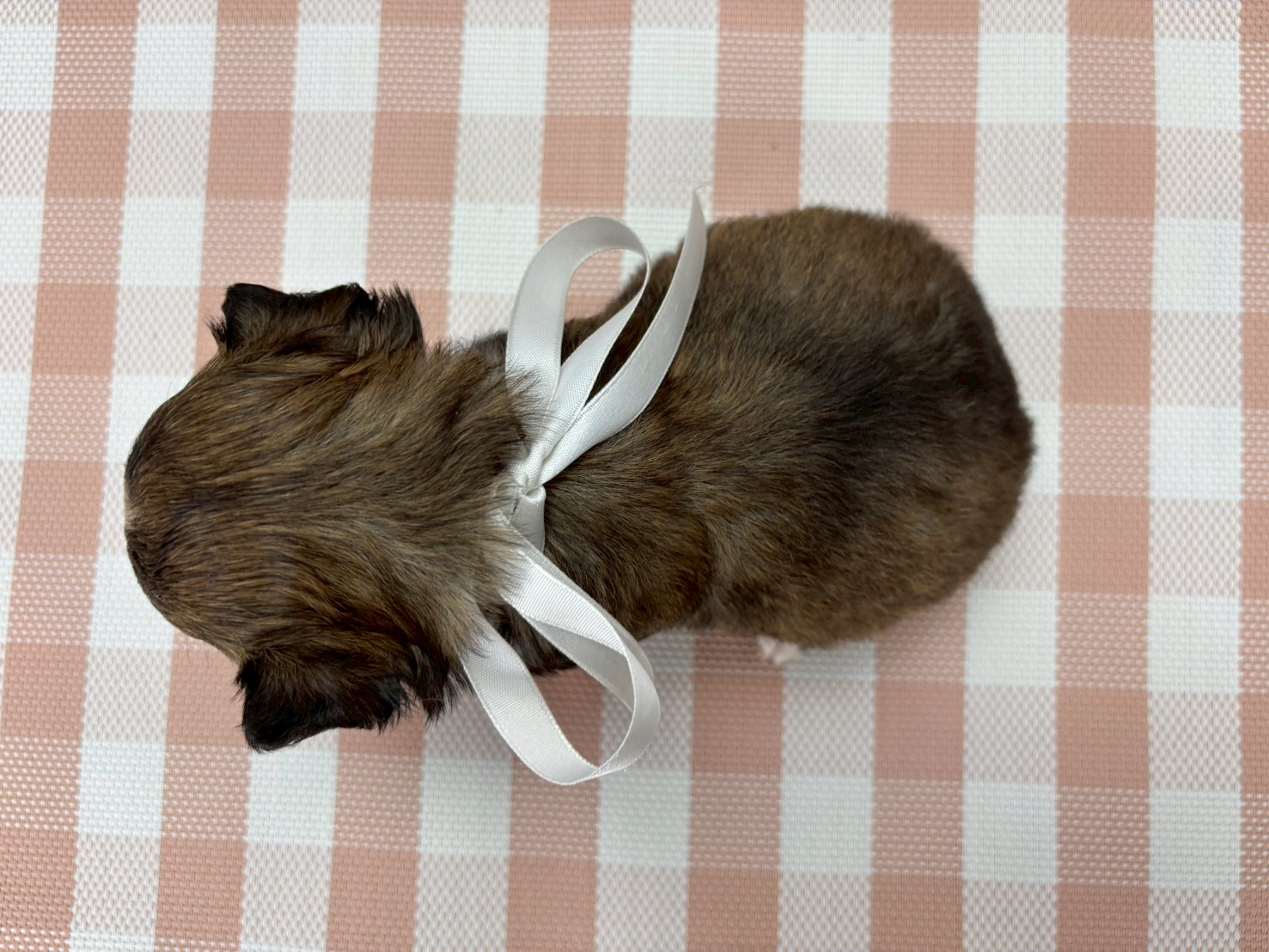 赤ちゃん写真2-3