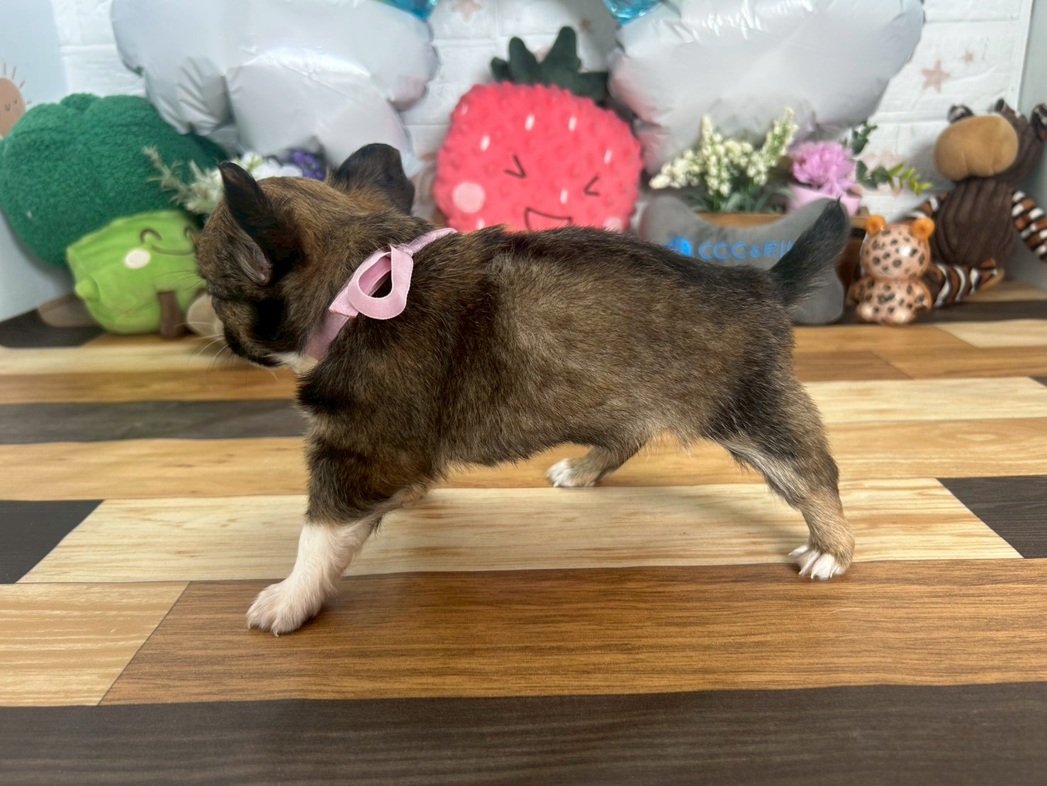 赤ちゃん写真3-2