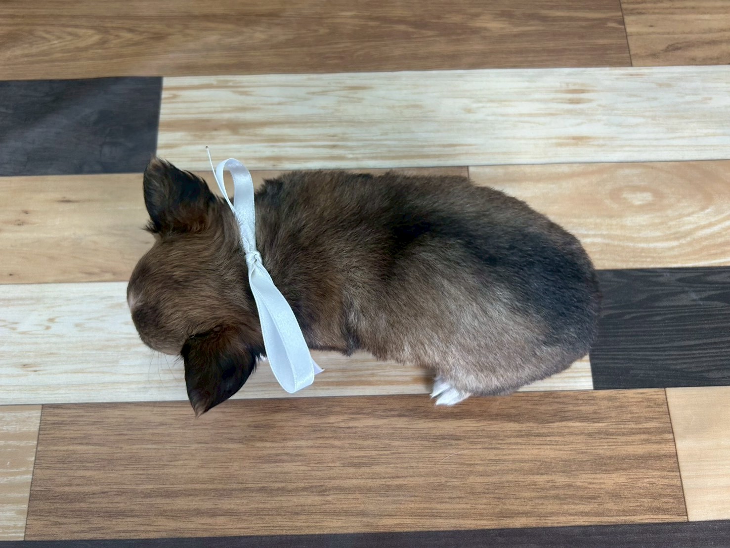 赤ちゃん写真3-3