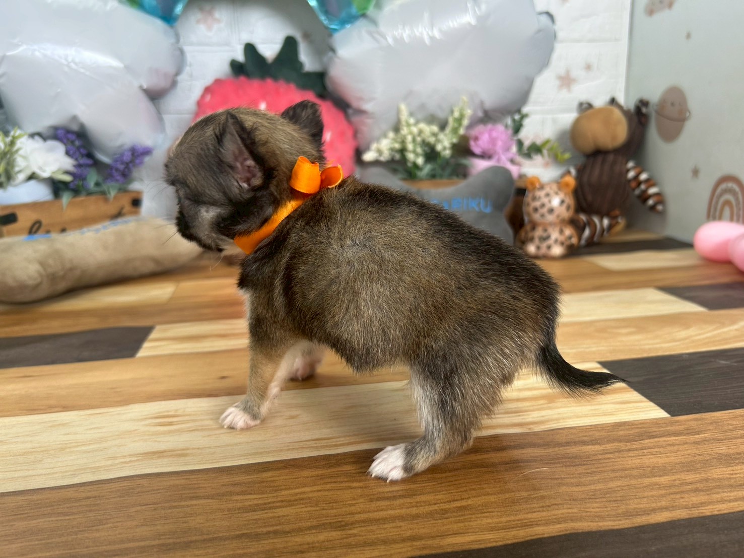 赤ちゃん写真3-2