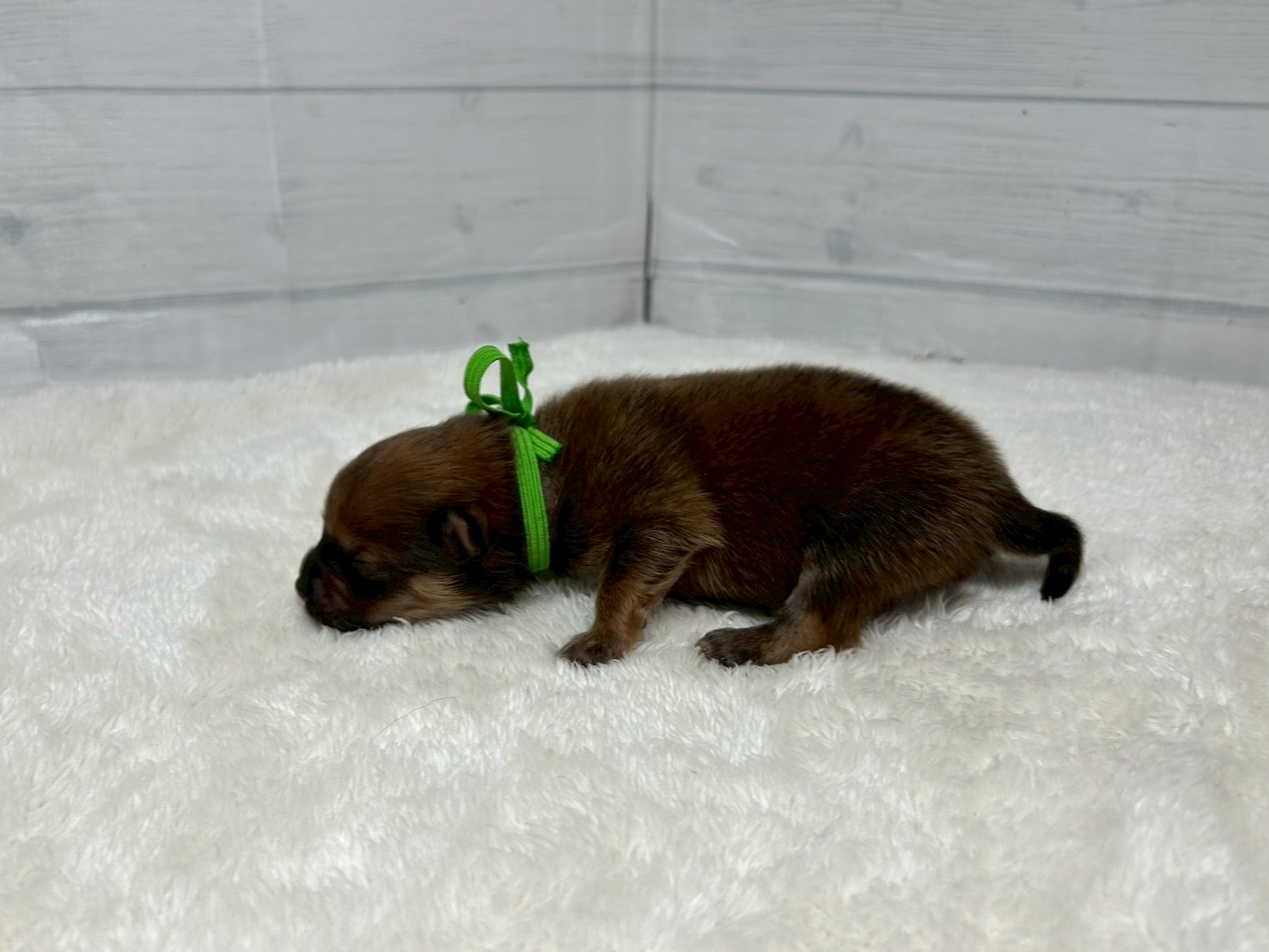 赤ちゃん写真1-2