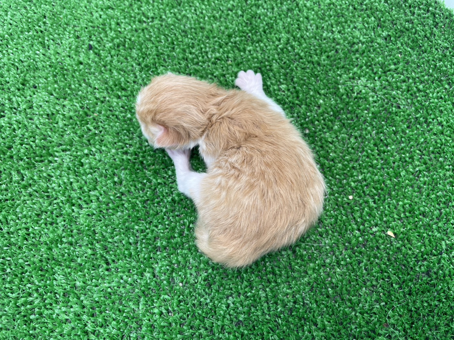 赤ちゃん写真1-3